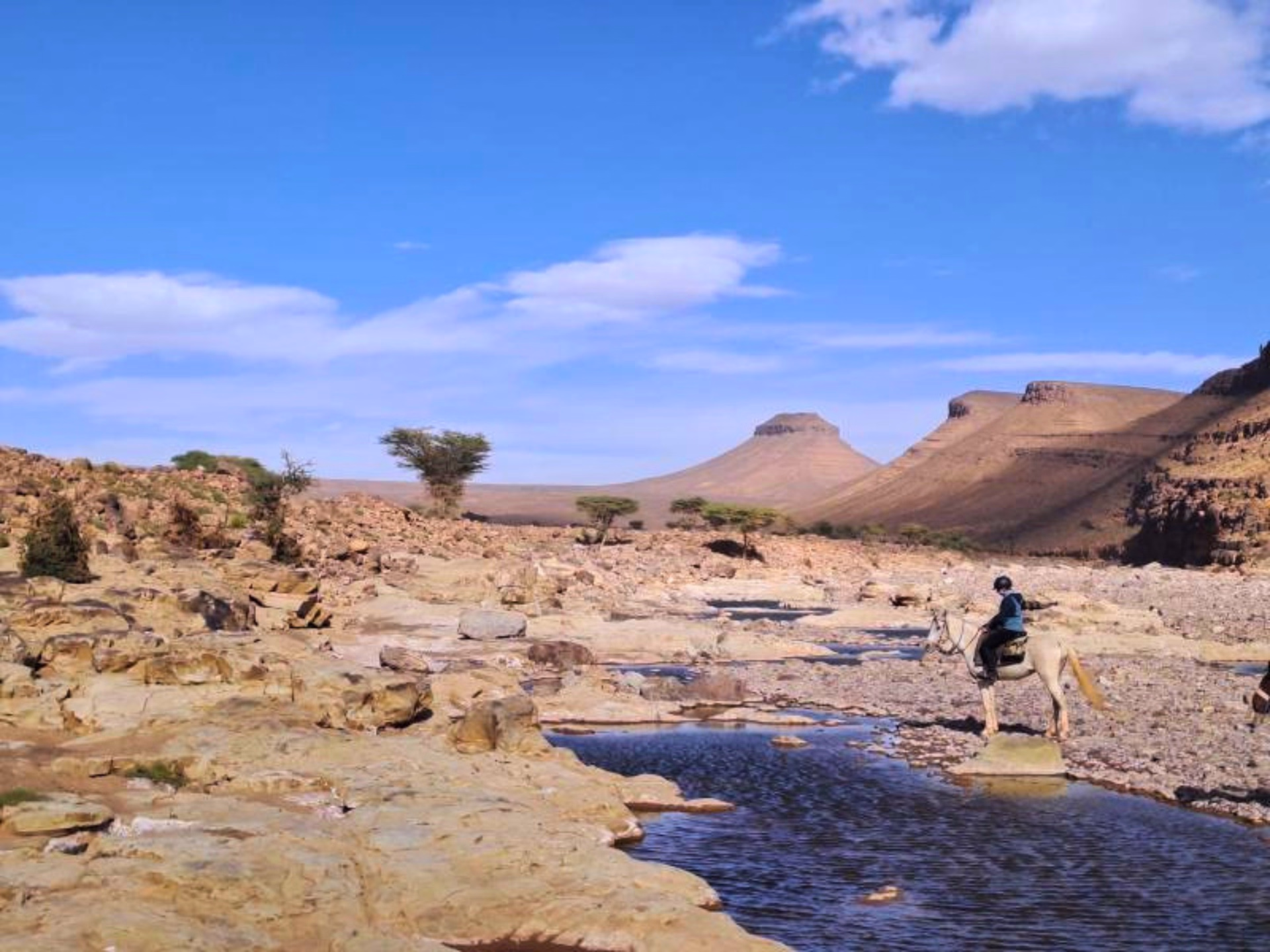 Randonnée équestre dans le désert du Sahara