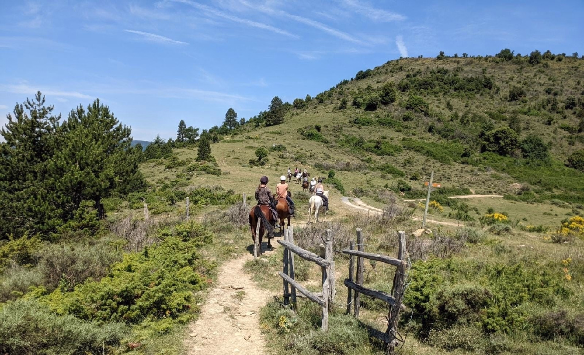 Rando équestre des citadelles en Pays Cathare