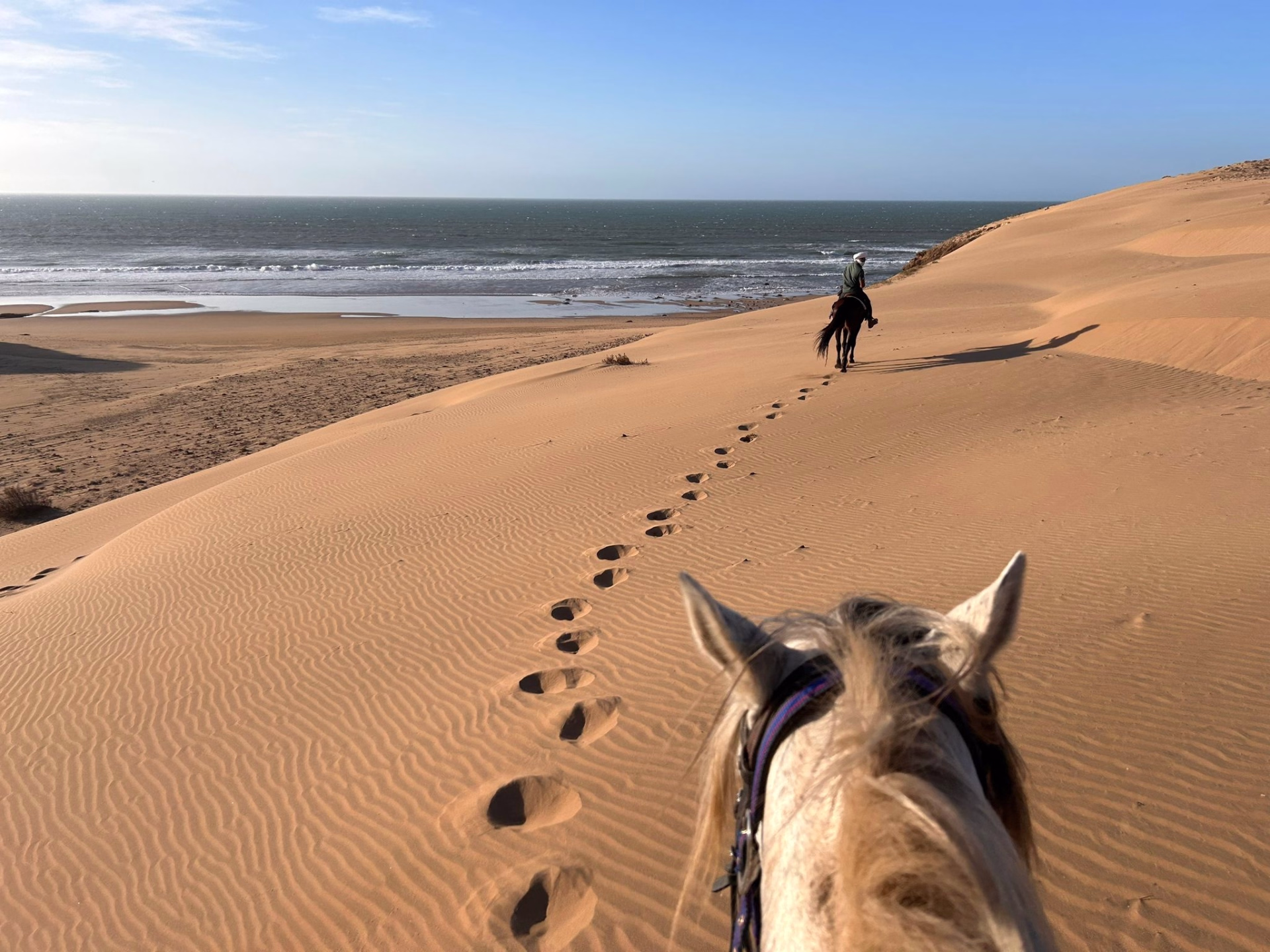 Randonnée équestre au Maroc : la Chevauchée au cœur d'Essaouira