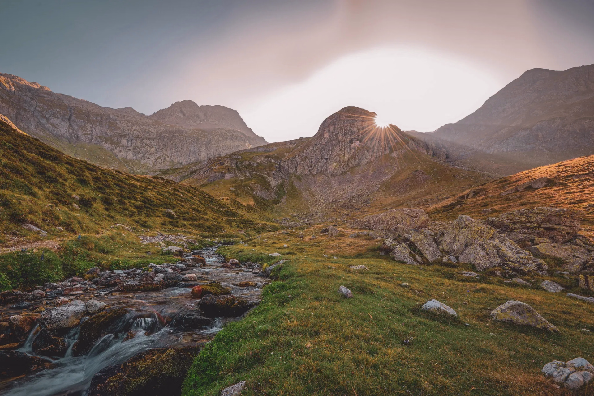 Immersion sauvage et faune des Pyrénées en randonnée