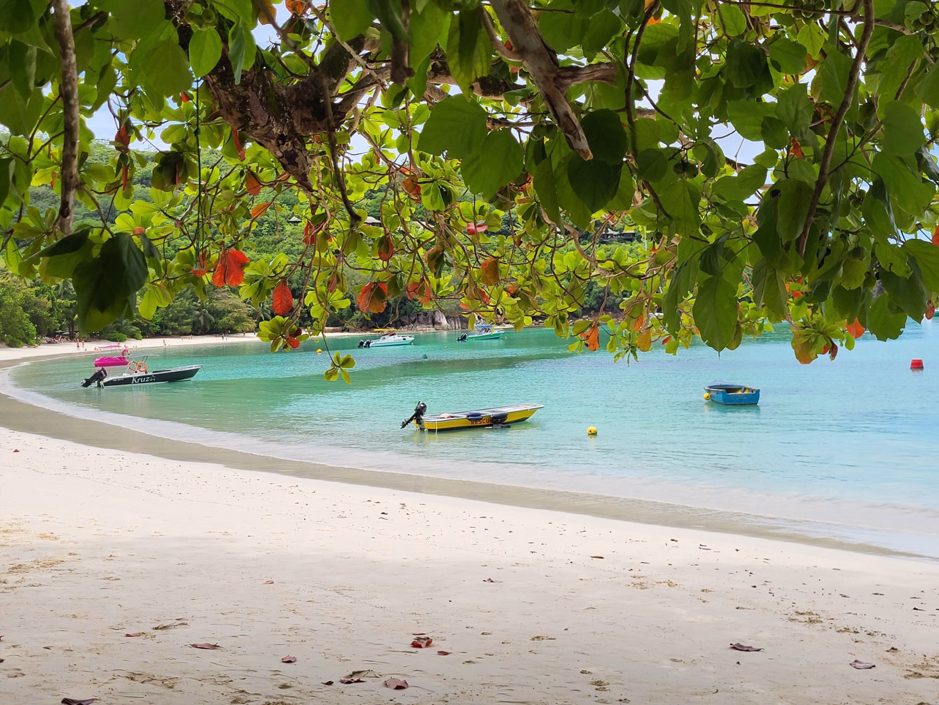 Katamaran-Kreuzfahrt auf den Seychellen ab Mahé