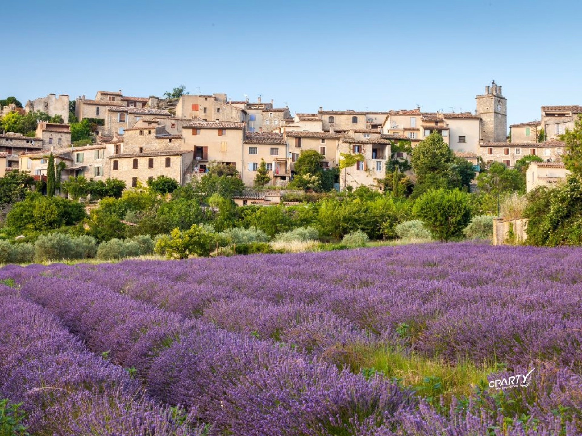 Stage cyclisme et ascension du Mont Ventoux en Provence
