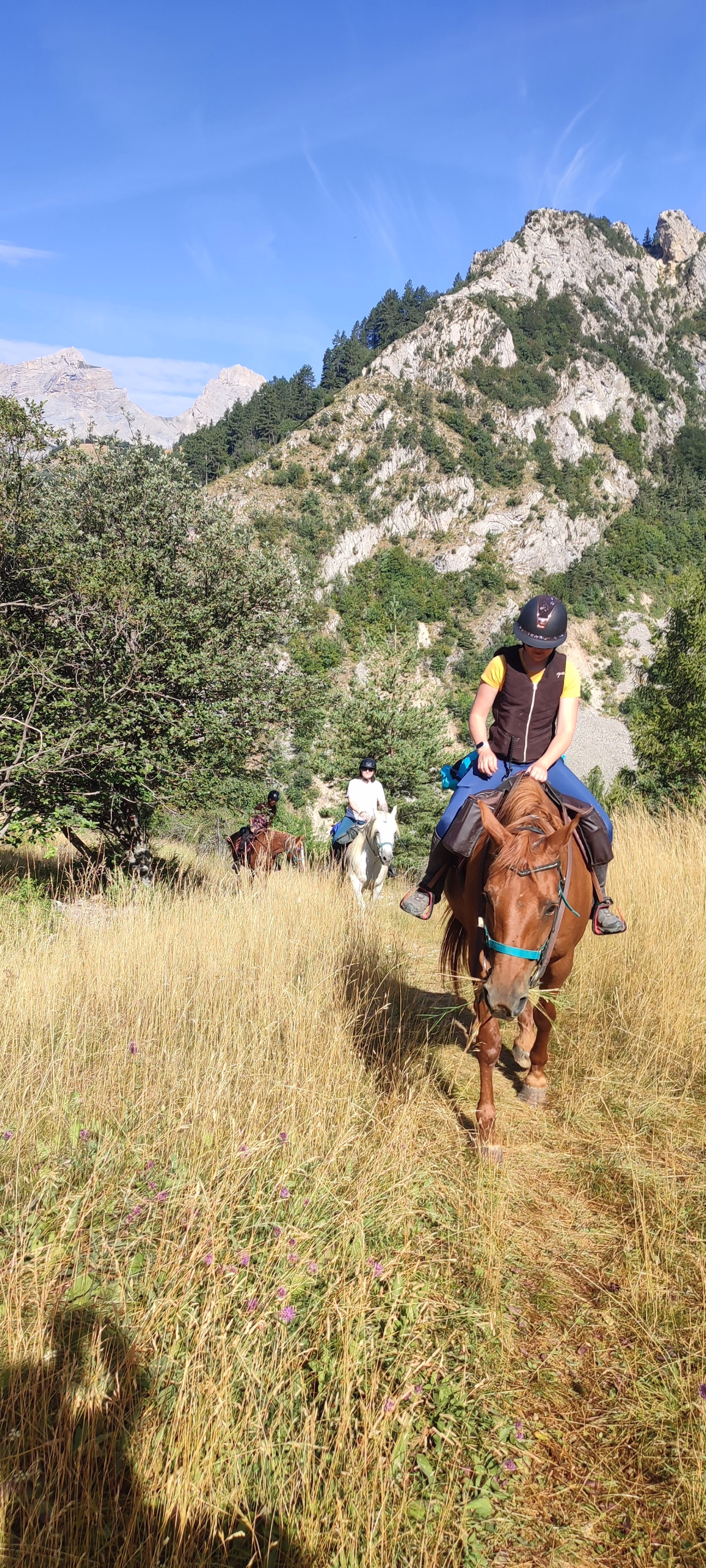 Le Dévoluy à cheval : une immersion en montagne de 4 jours