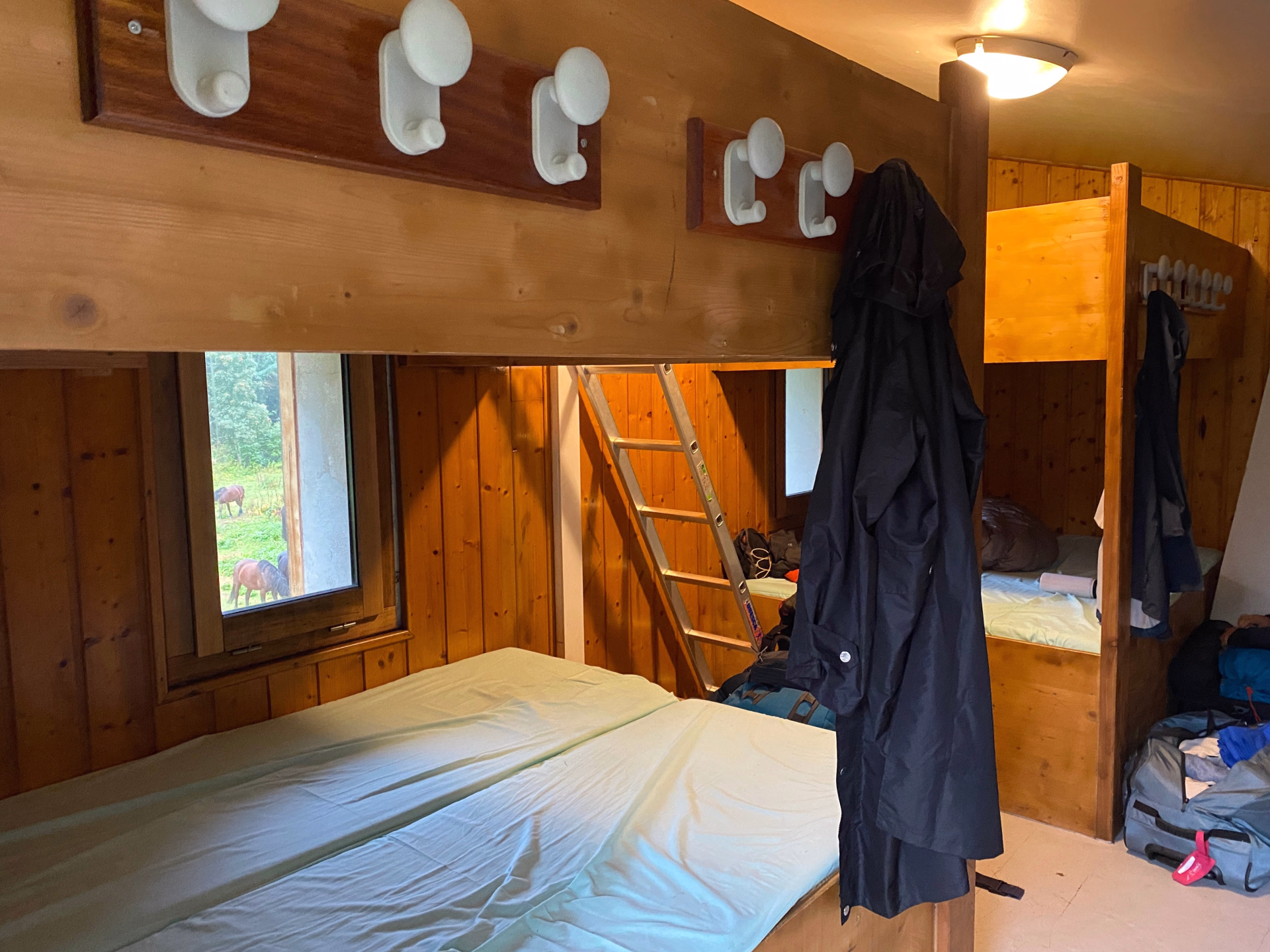 Randonnée équestre sur les hauts plateaux du Vercors