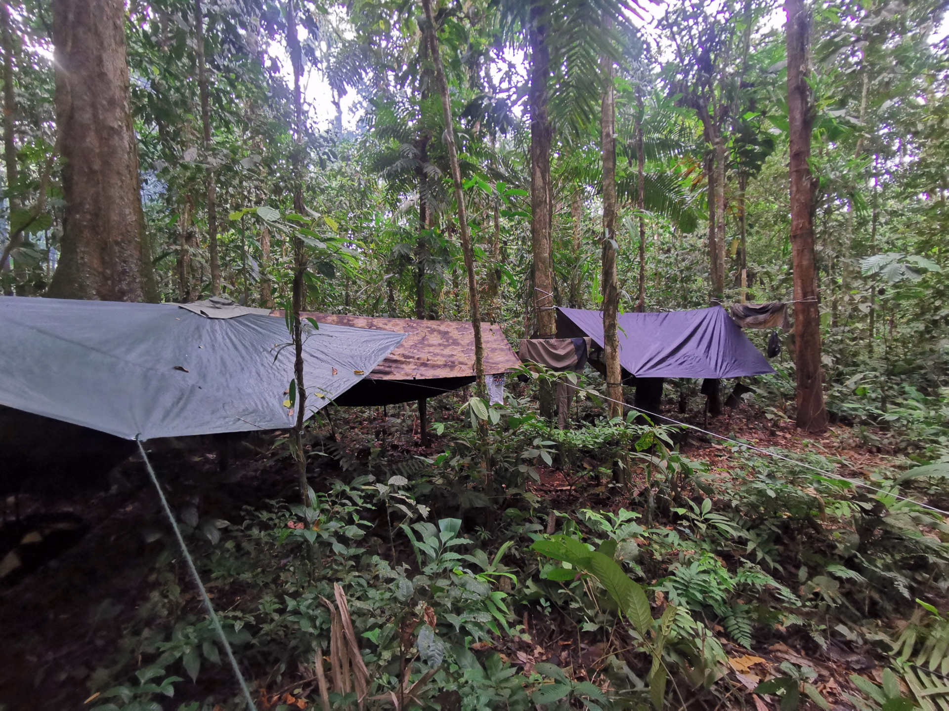 ⛺️ Bivouac/tente - Jours 3 à 7