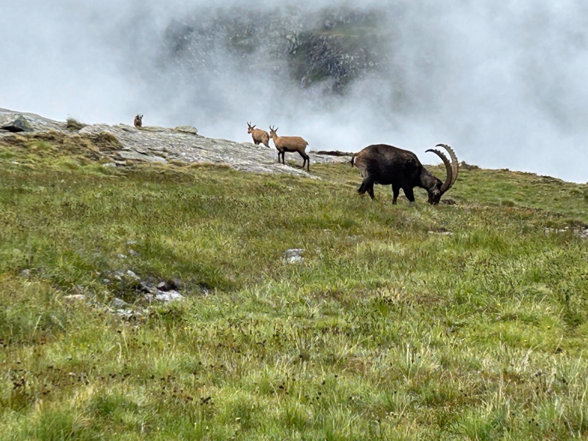 Le Tour des Aiguilles Rouges