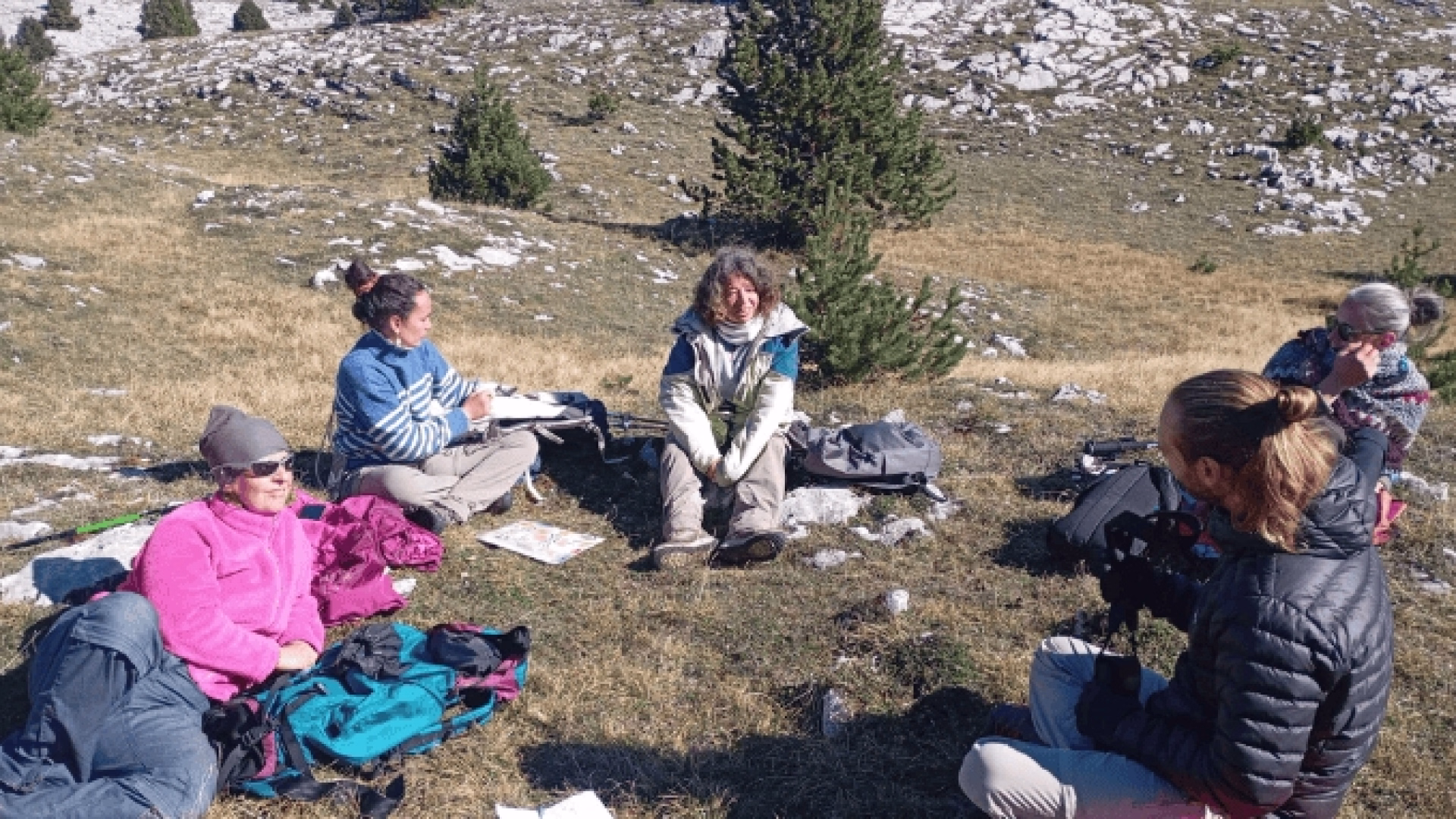 Sur les traces du loup : à la rencontre de votre part sauvage