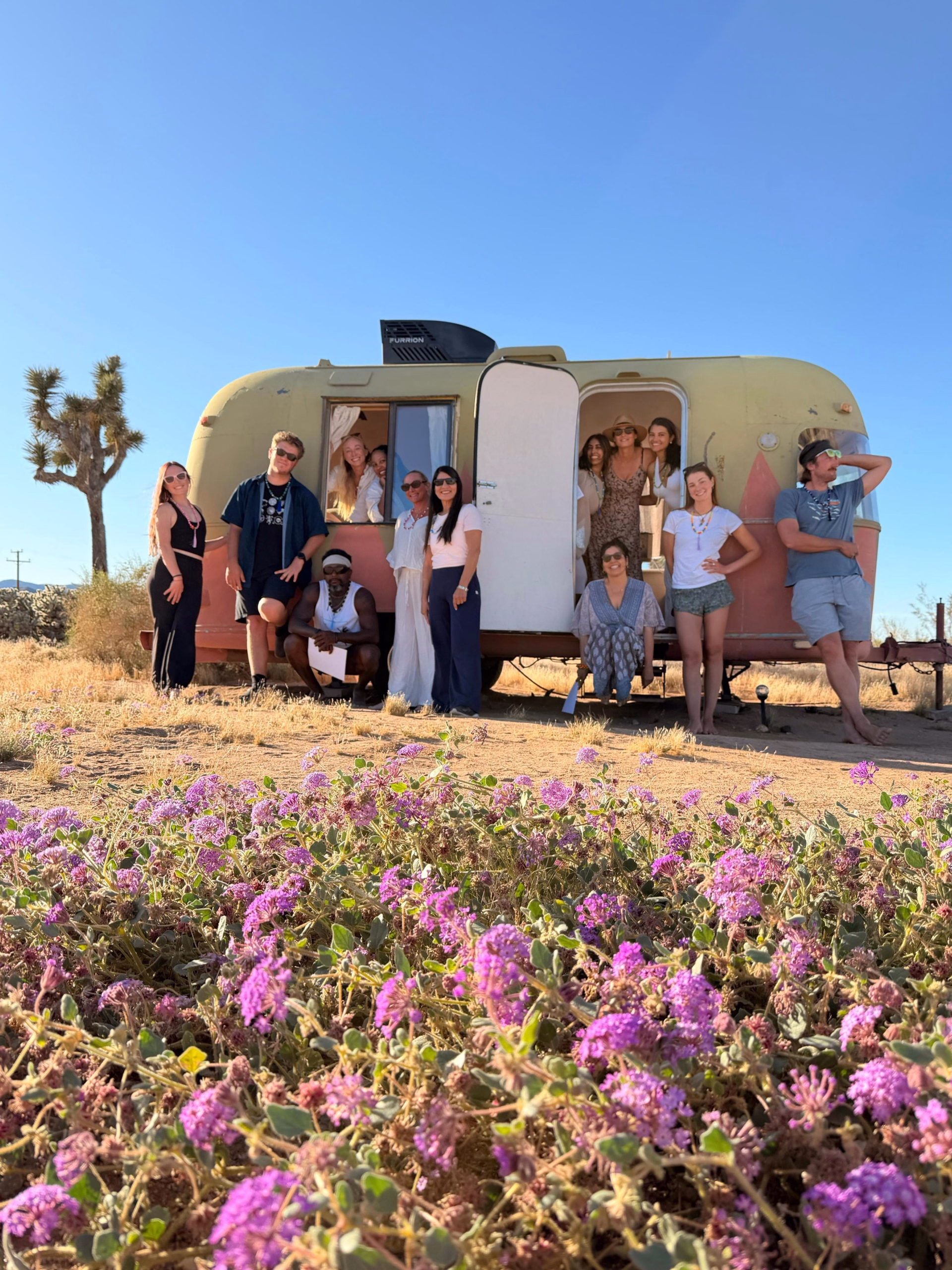 Désert sauvage — 6 jours de yoga & d'aventure à Joshua Tree