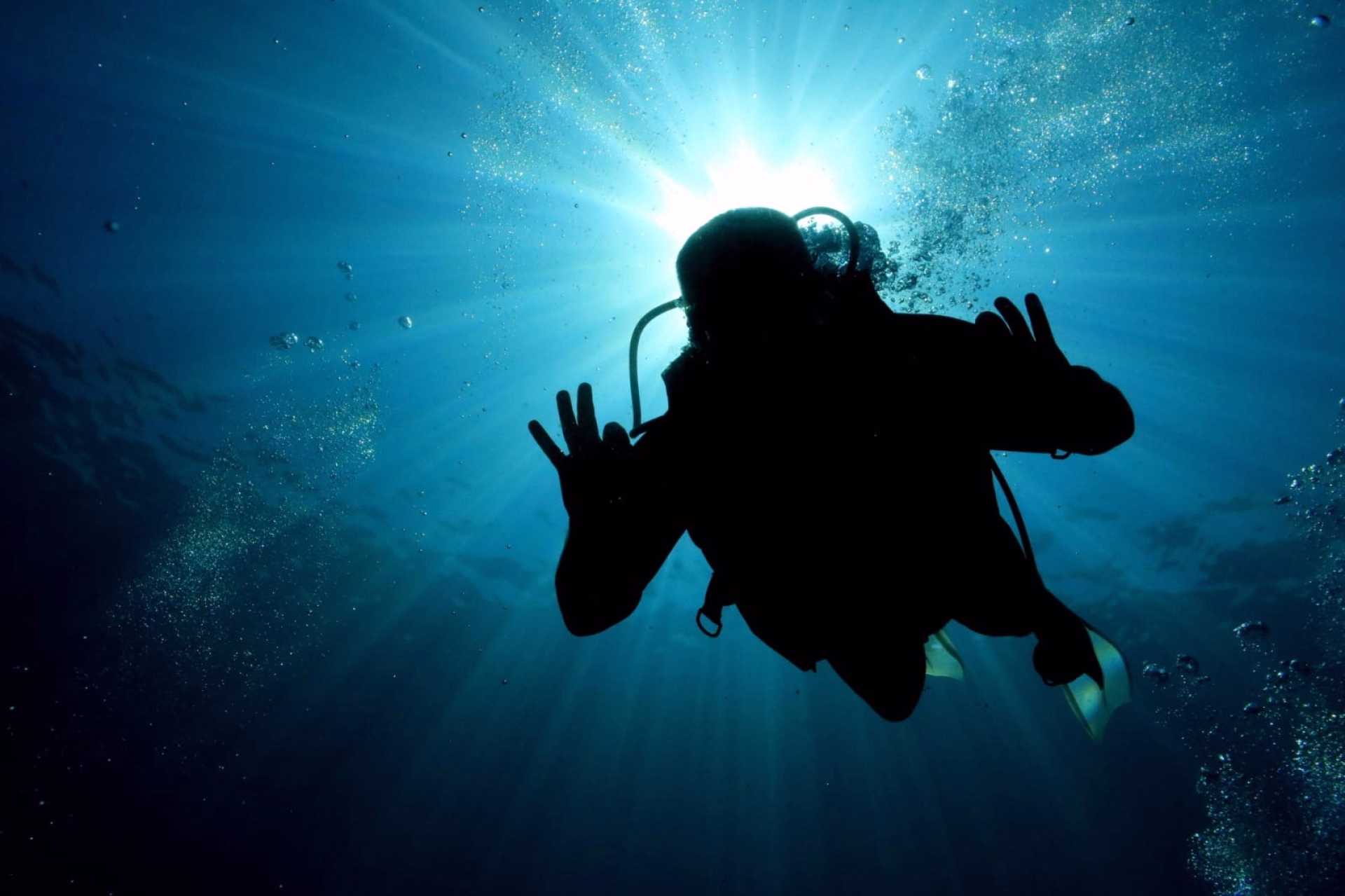 Plongée découverte et snorkeling à Charm el-Cheikh