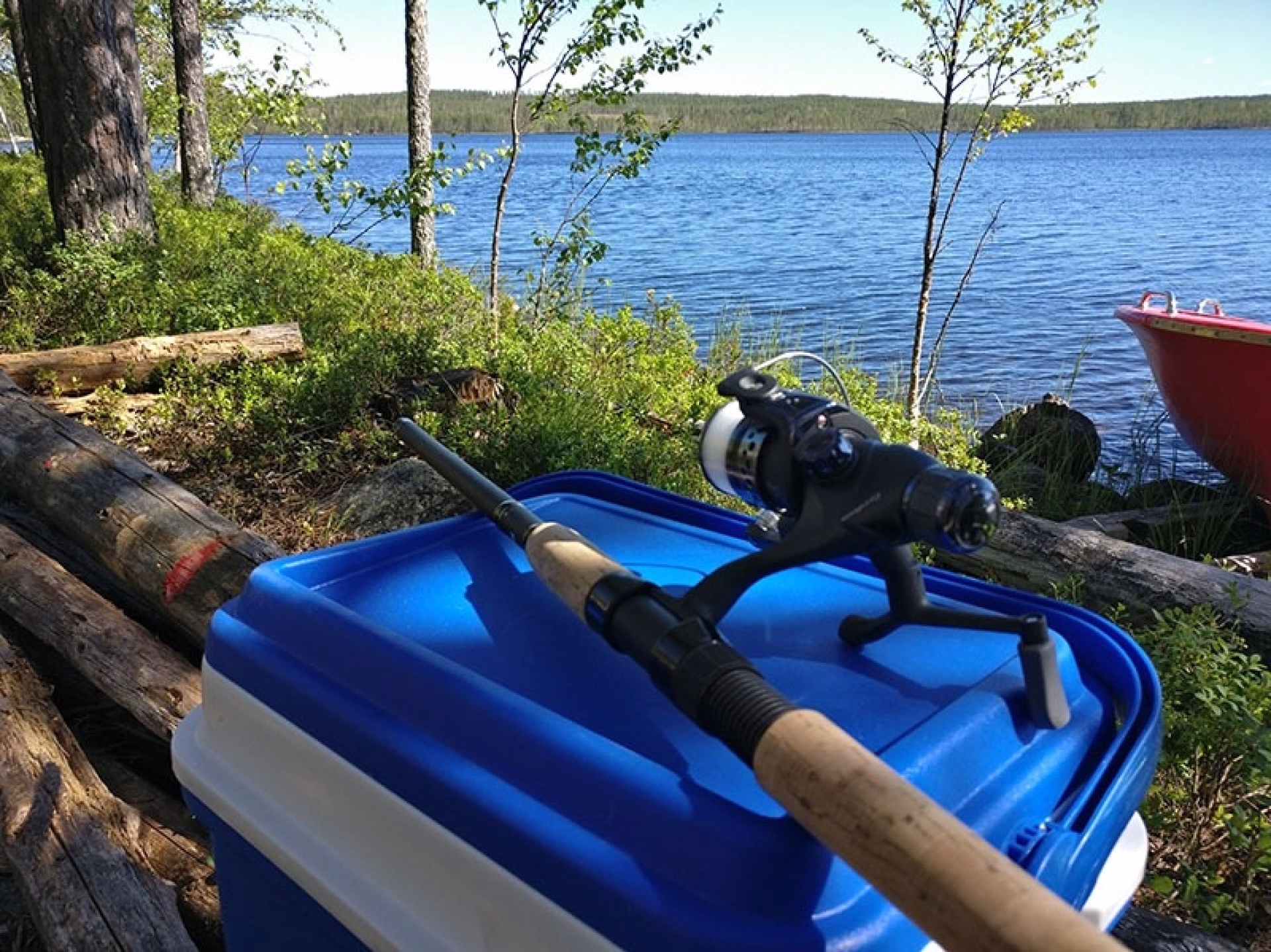 Immersion boréale entre cani-rando et bivouac en Laponie