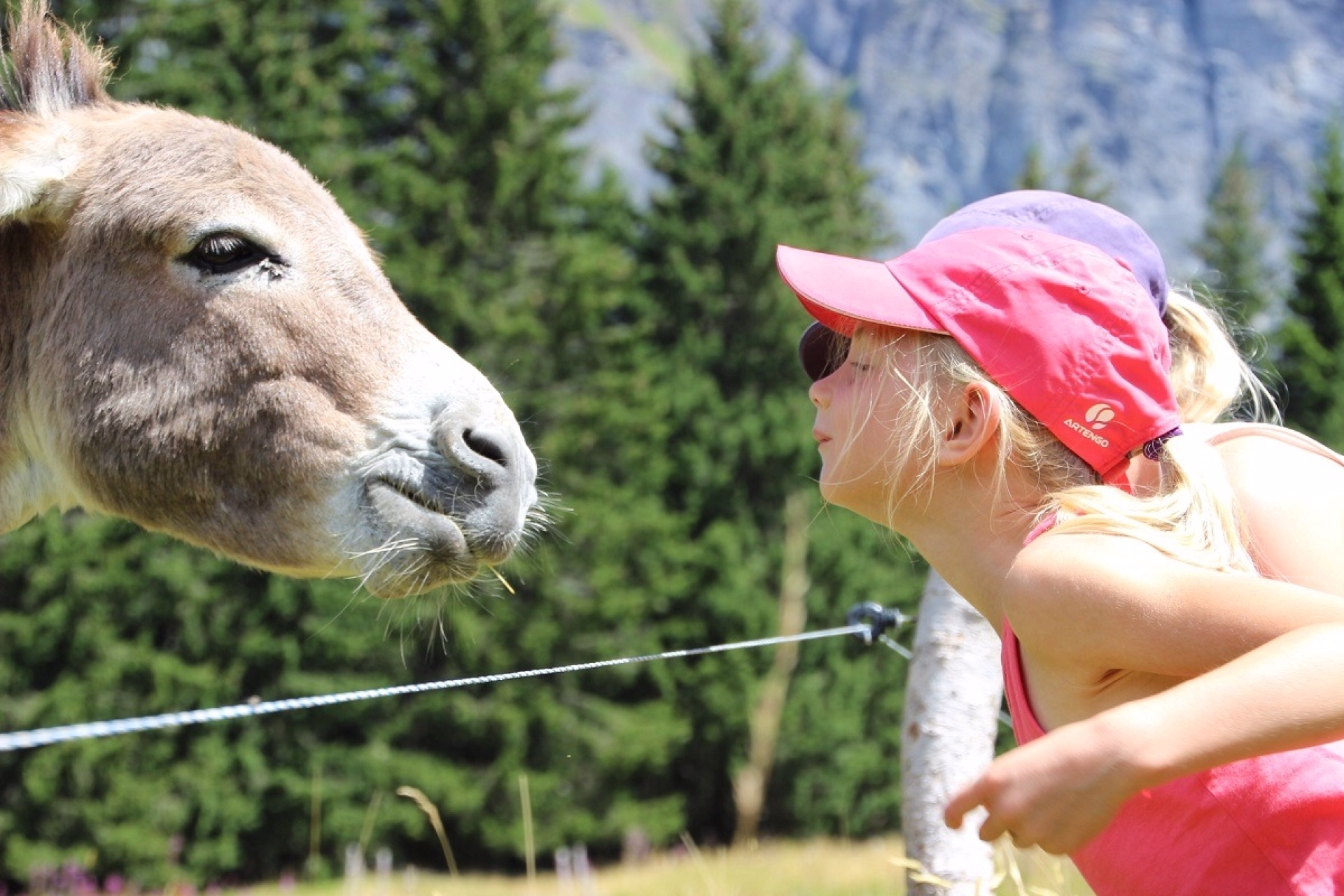 Séjour randonnée et activités en famille à Sixt-Fer-à-Cheval