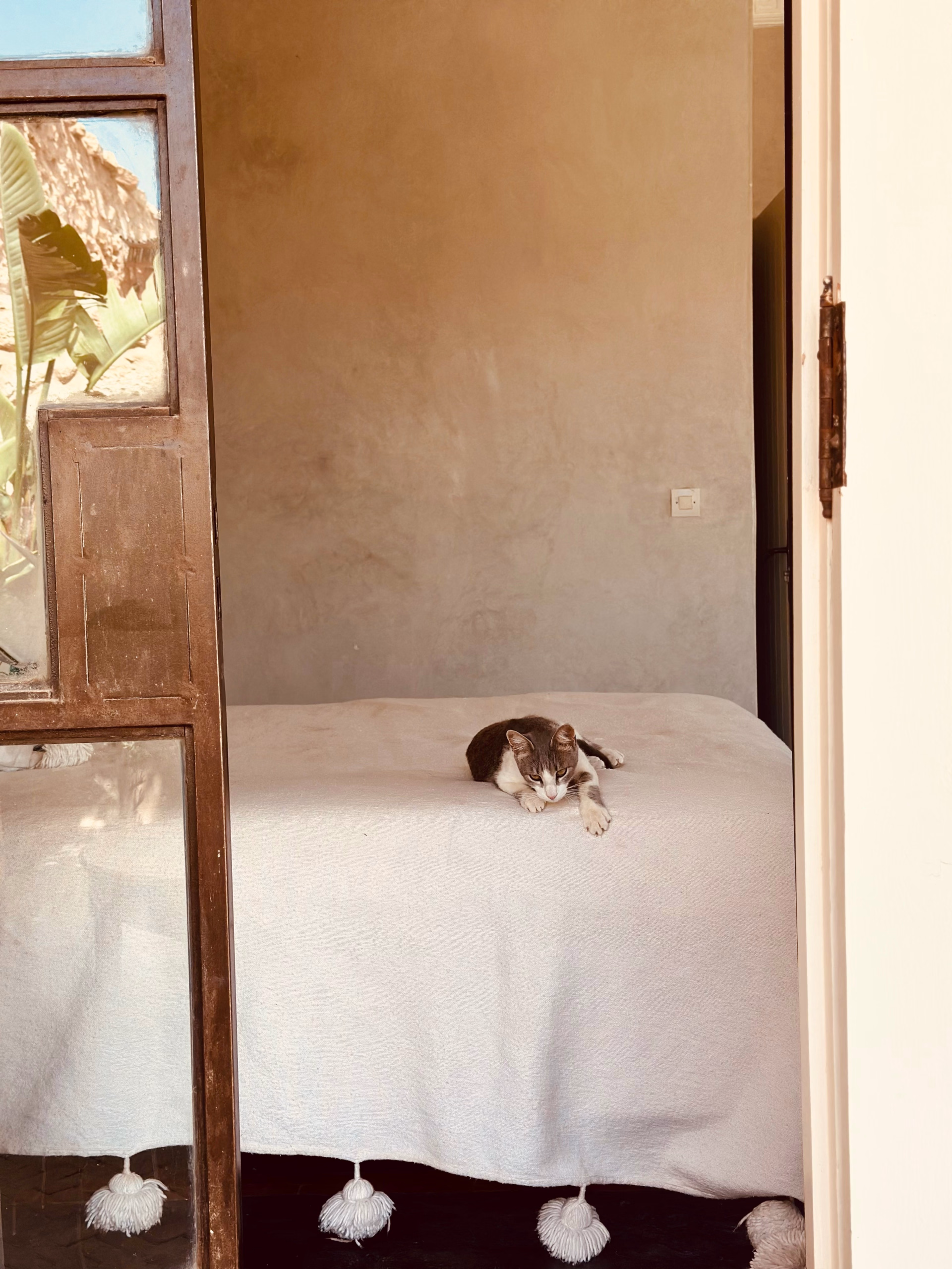 Séjour bien-être, détente et découverte de la culture marocaine