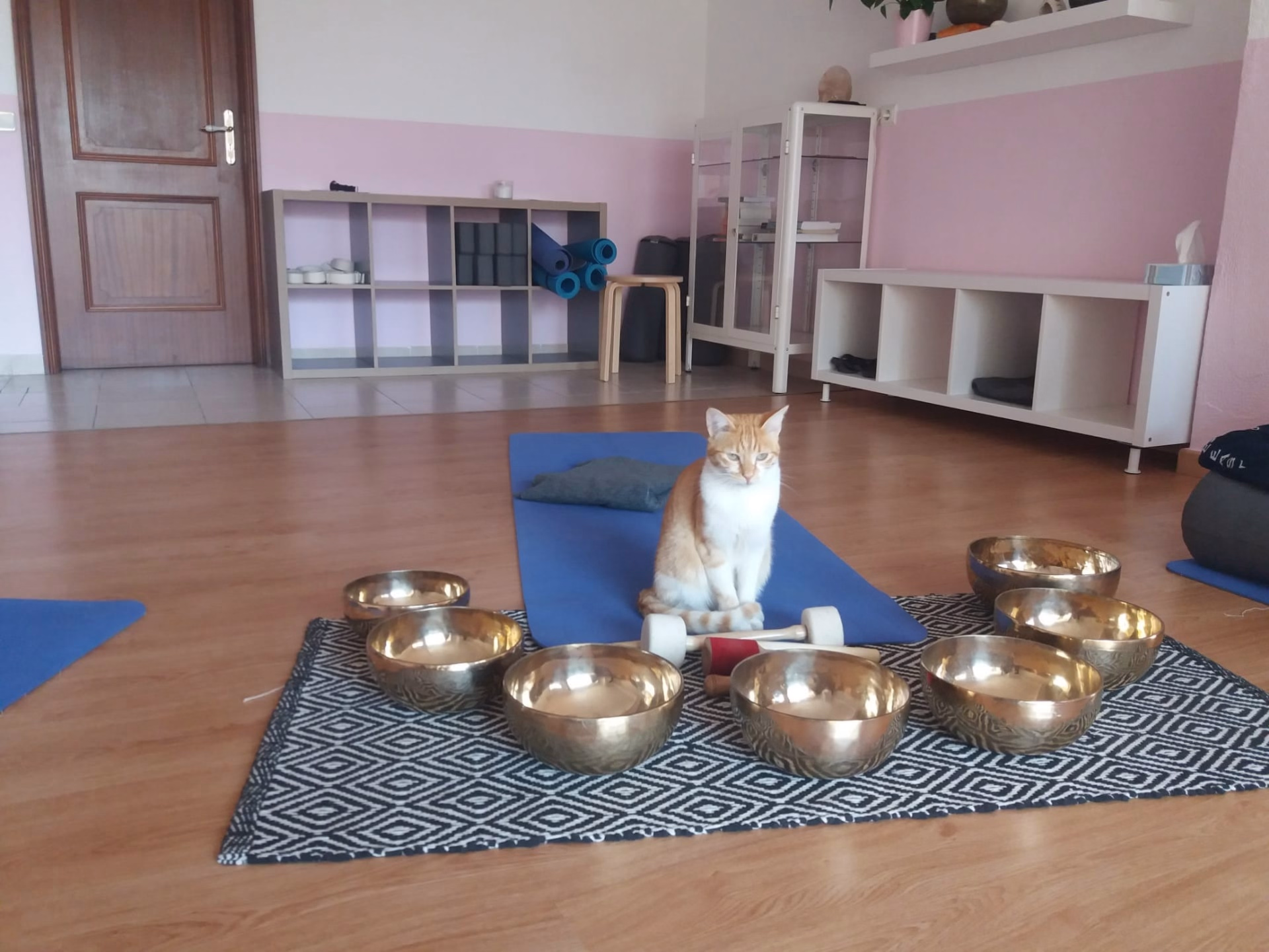 Retraite de yoga et déconnexion au Portugal