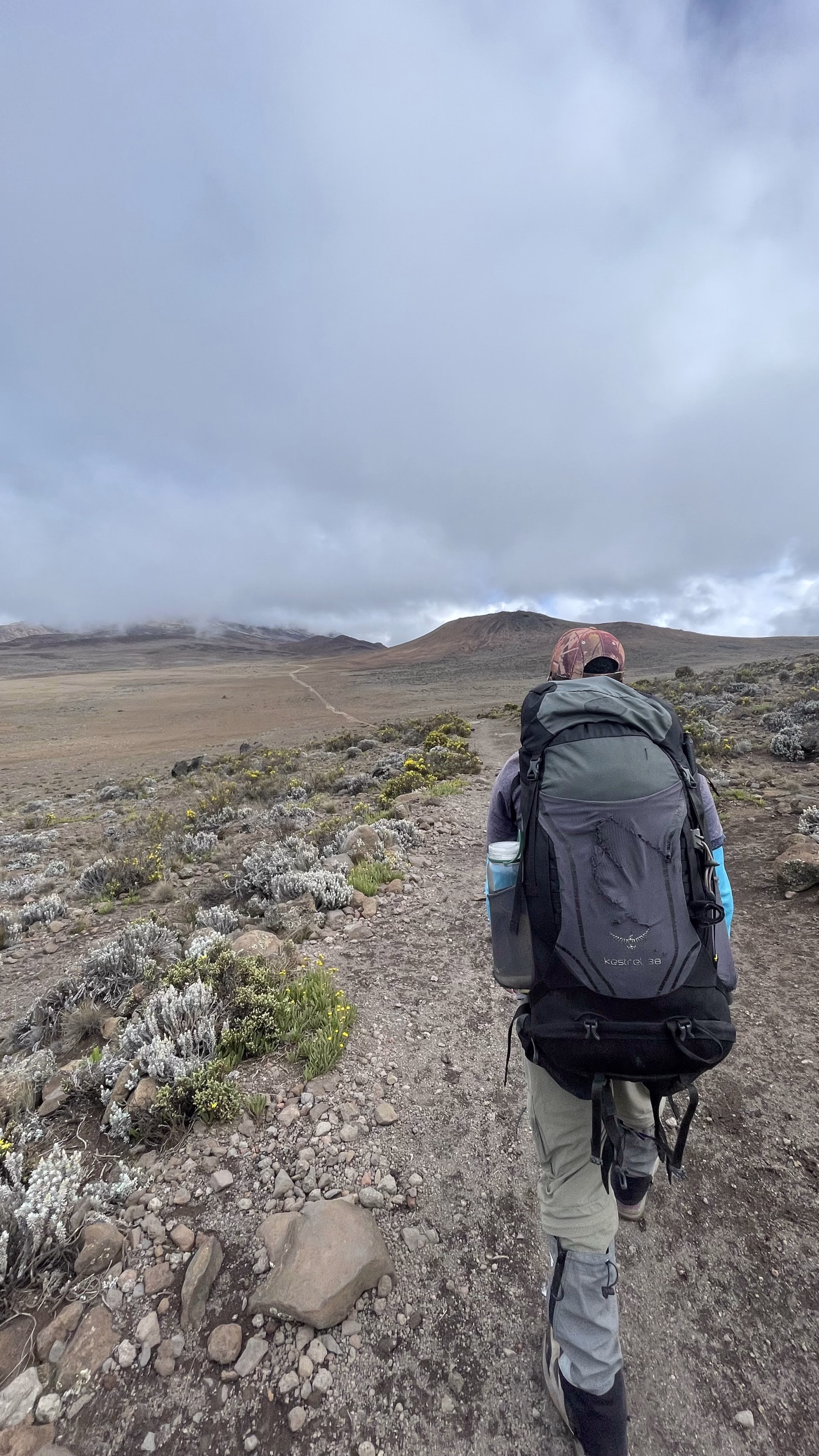 Photo kilimandjaro