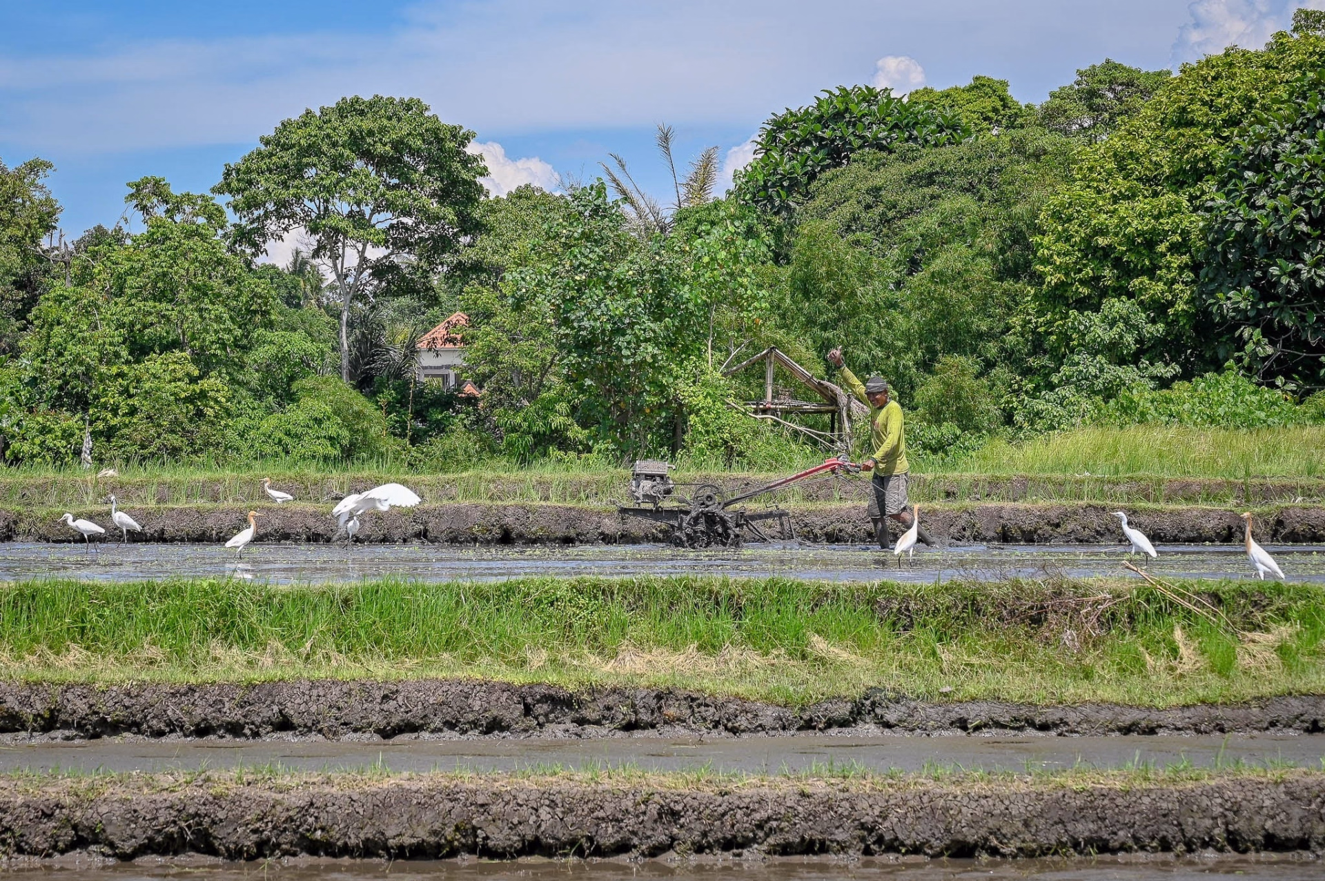 La grande traversée de Bali à VTT : volcans, rizières et plages