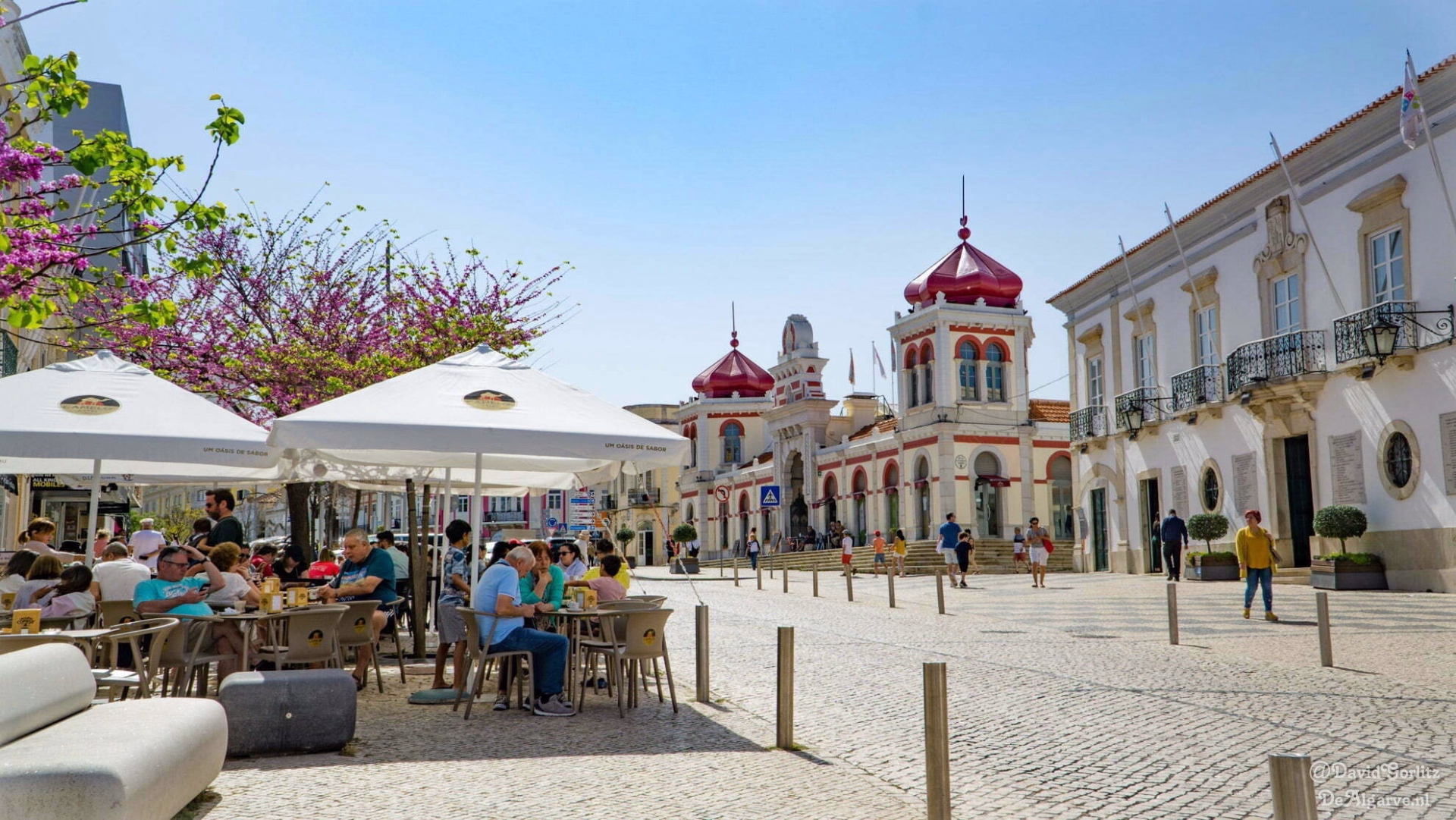 Traversée de l’Algarve à vélo entre mer et villages typiques