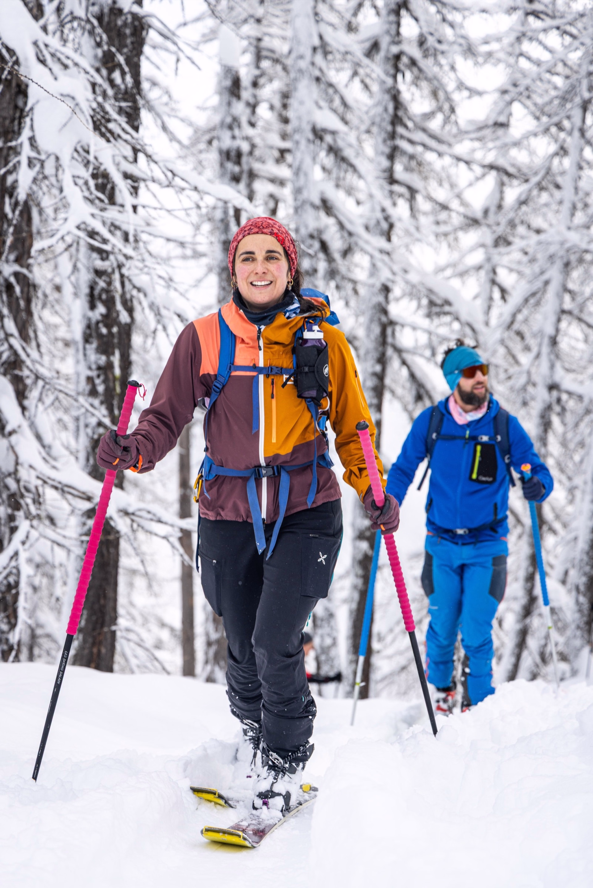 Ski de randonnée en liberté et en étoile dans le massif des Écrins