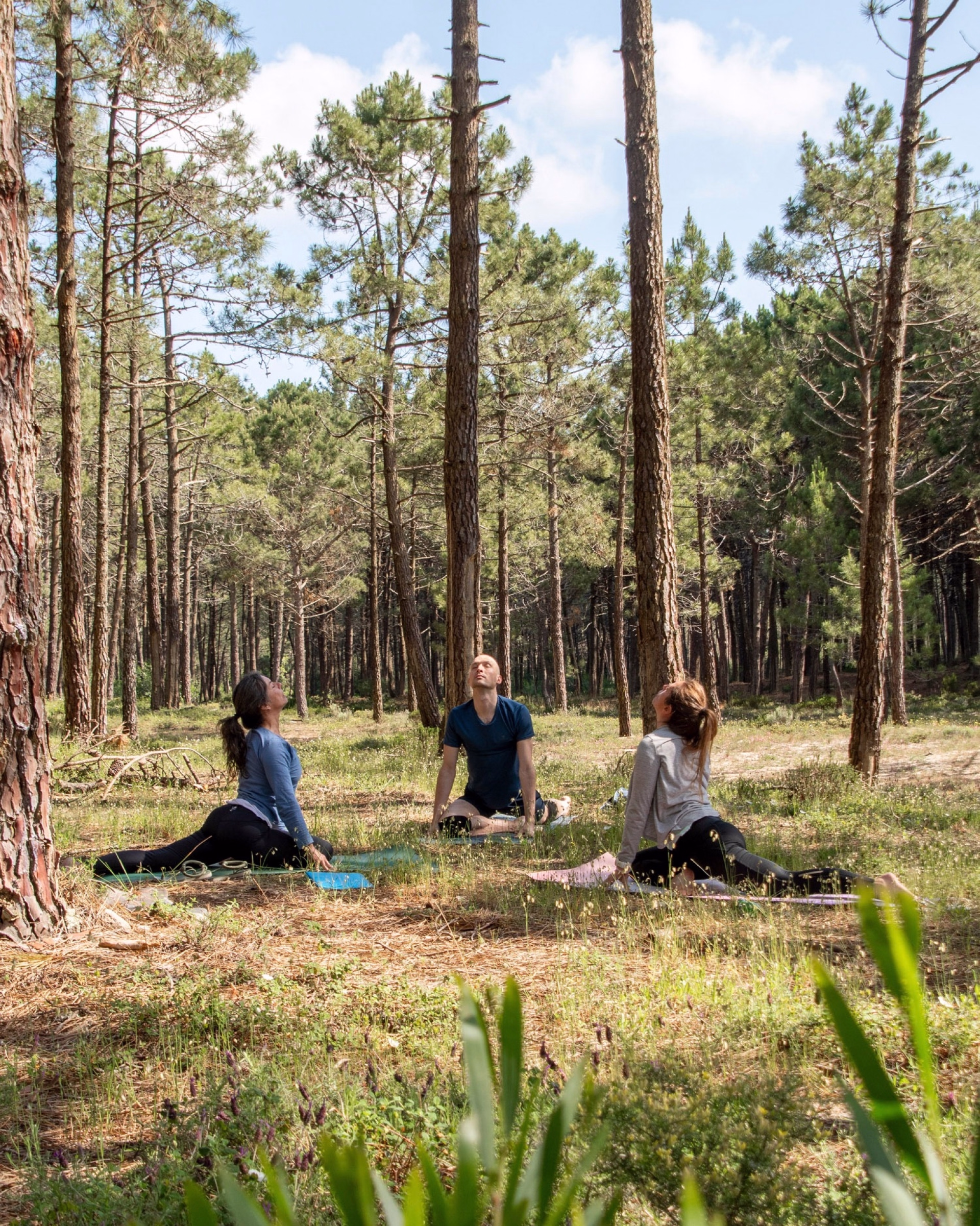 Formule Surf & Yoga à Peniche