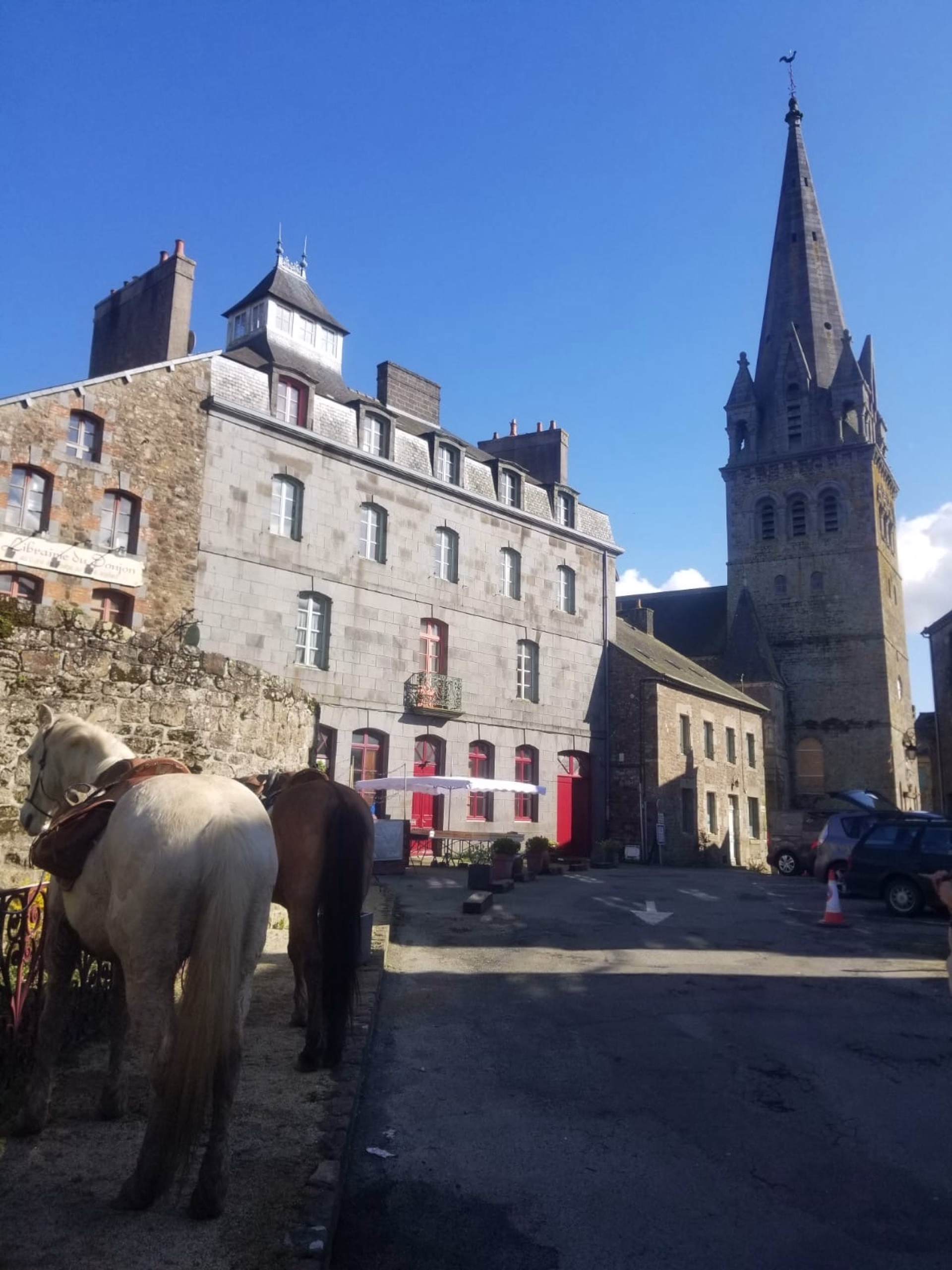 Randonnée équestre transhumance de la ville à la mer