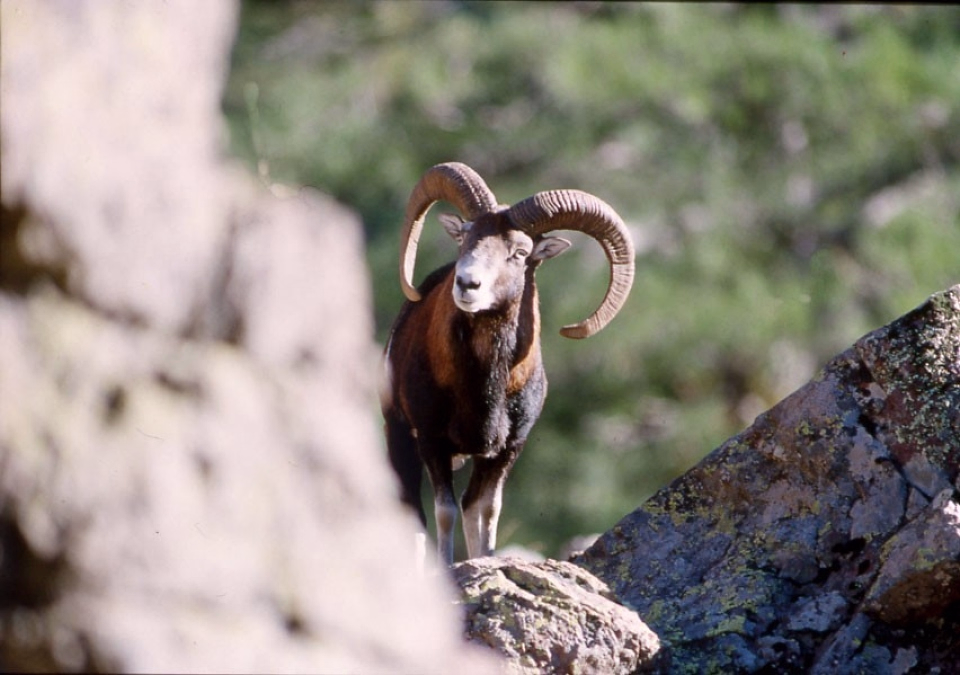 Le GR20 Nord tracé originel en groupe