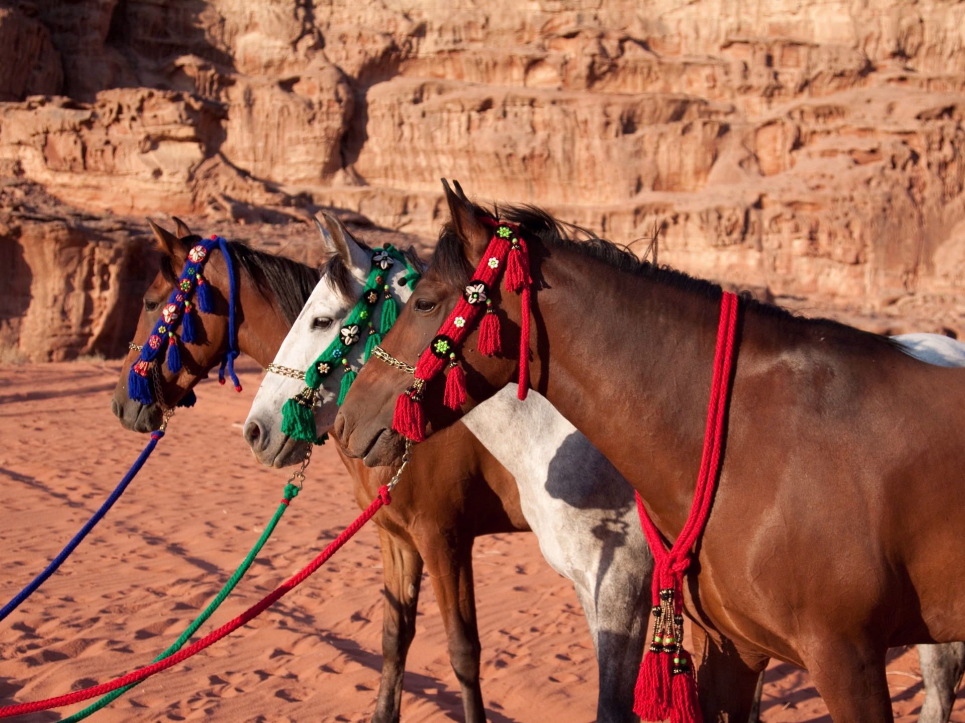 Randonnée à cheval au coeur des trésors de Jordanie