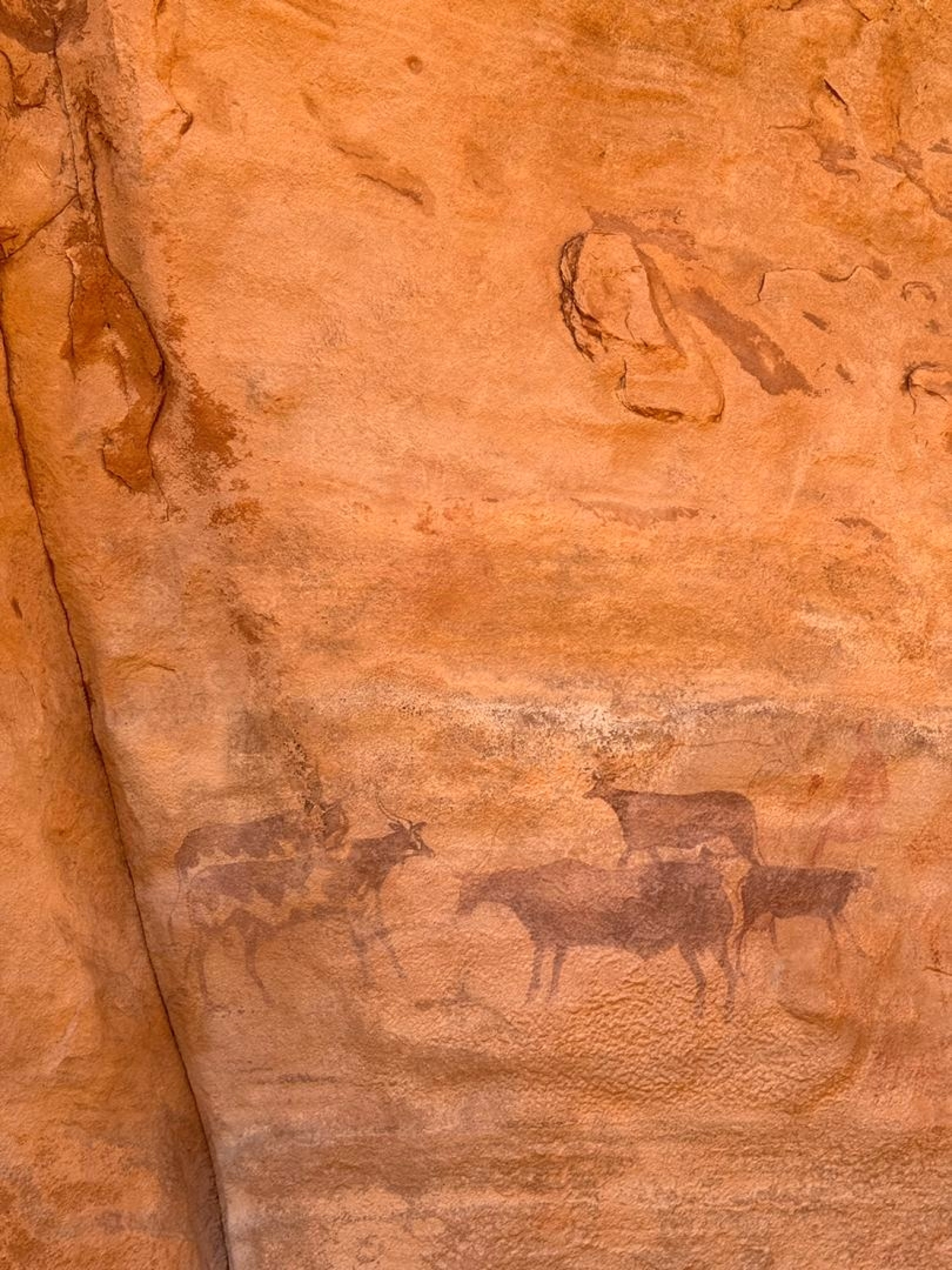 Trek saharien au plateau de Sefar à Djanet