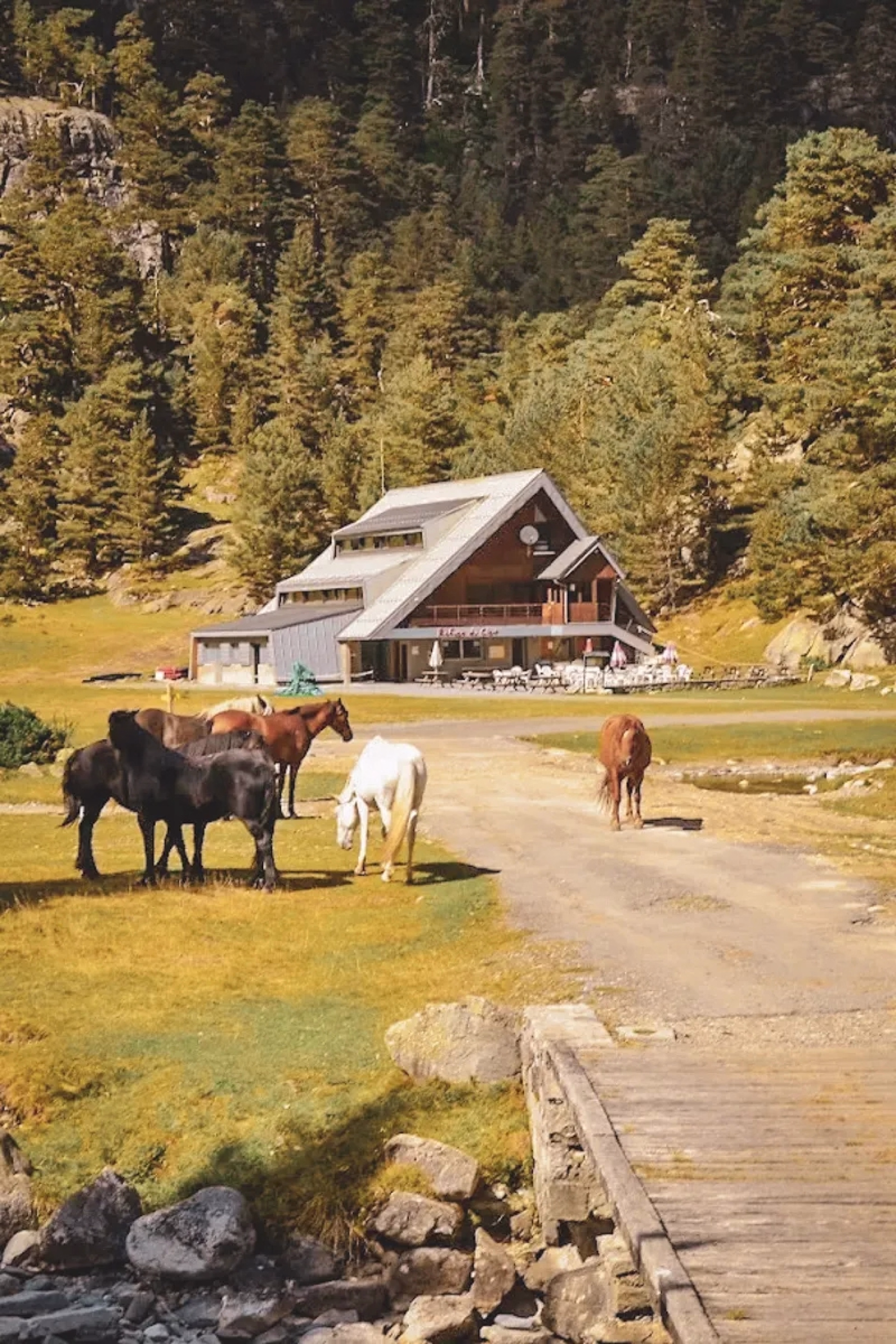 🏔️ Refuge - Jour 3