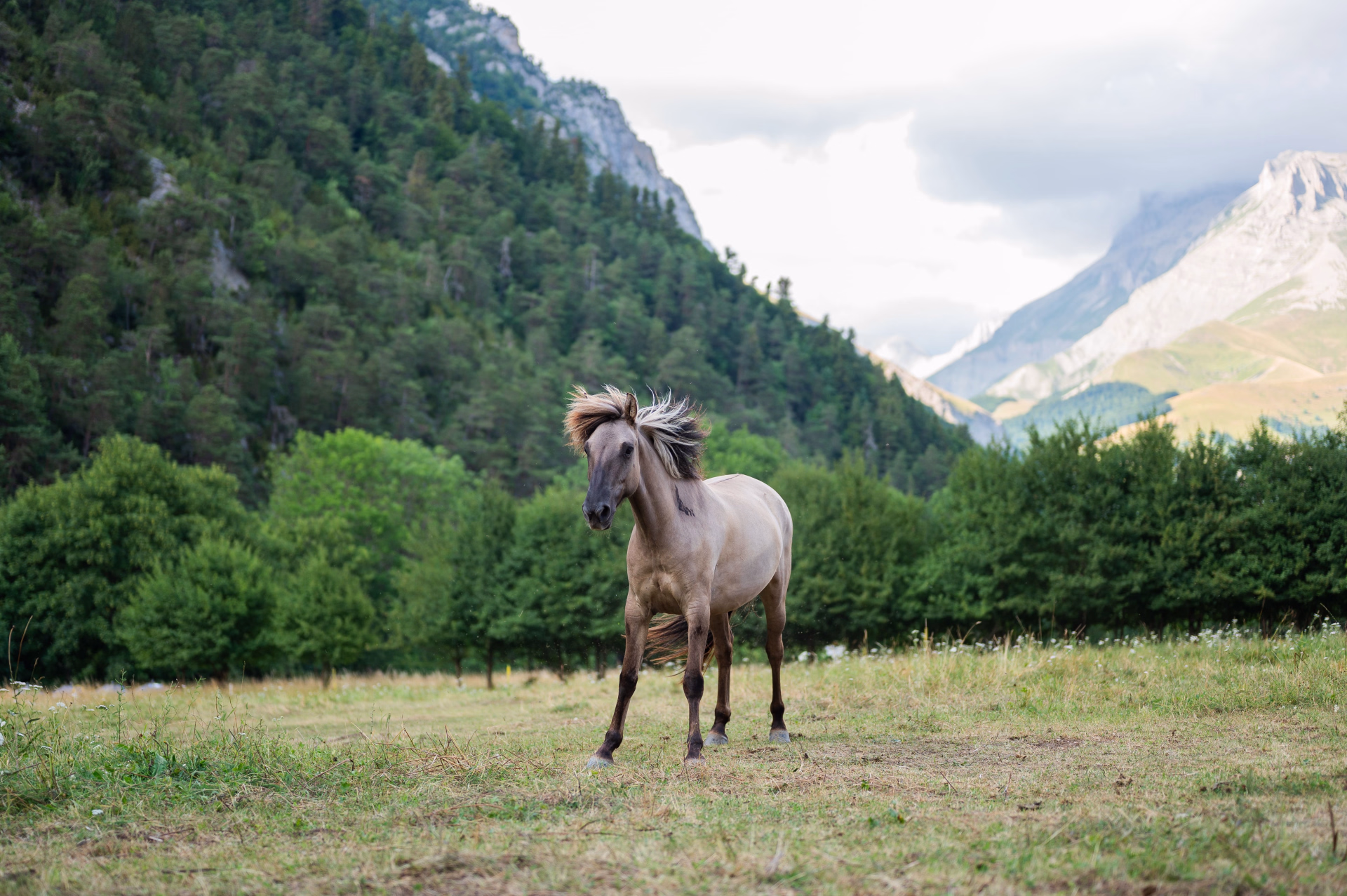 ⛺️ Bivouac/tente - Jour 1