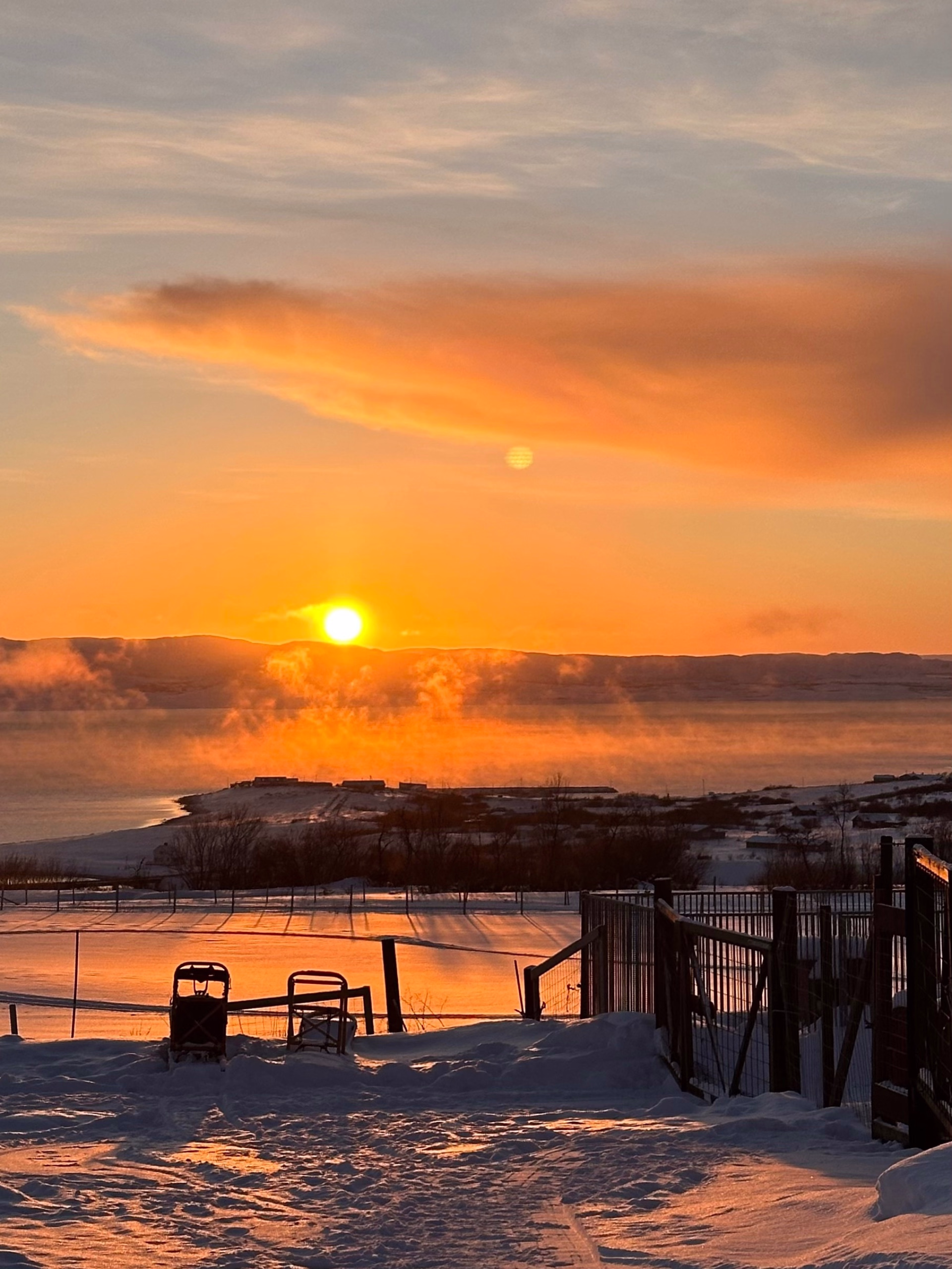 Expédition en terre arctique - chiens de traîneau et bivouac