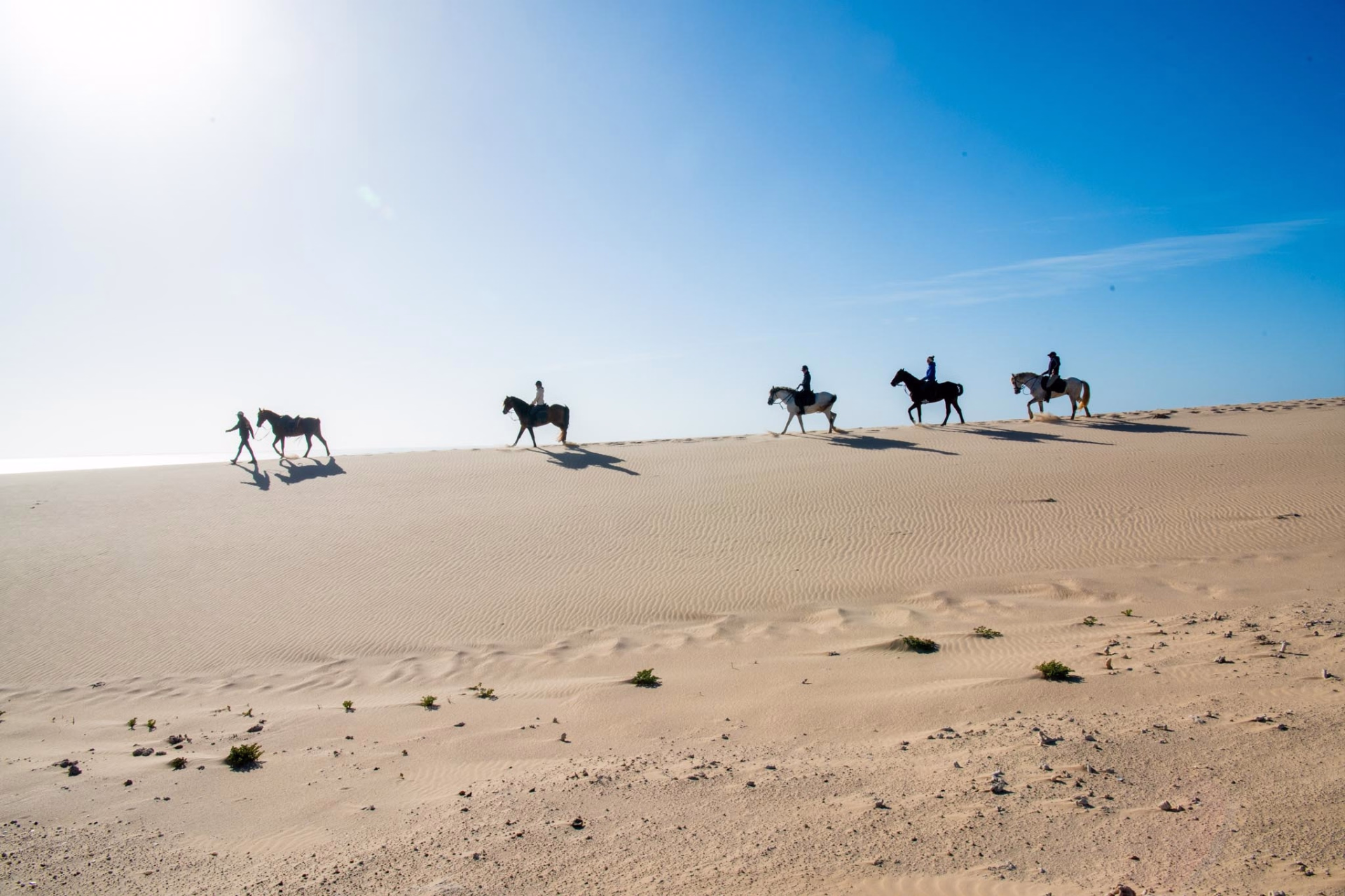 Balades à cheval au coeur du Sahara, entre océan et désert.