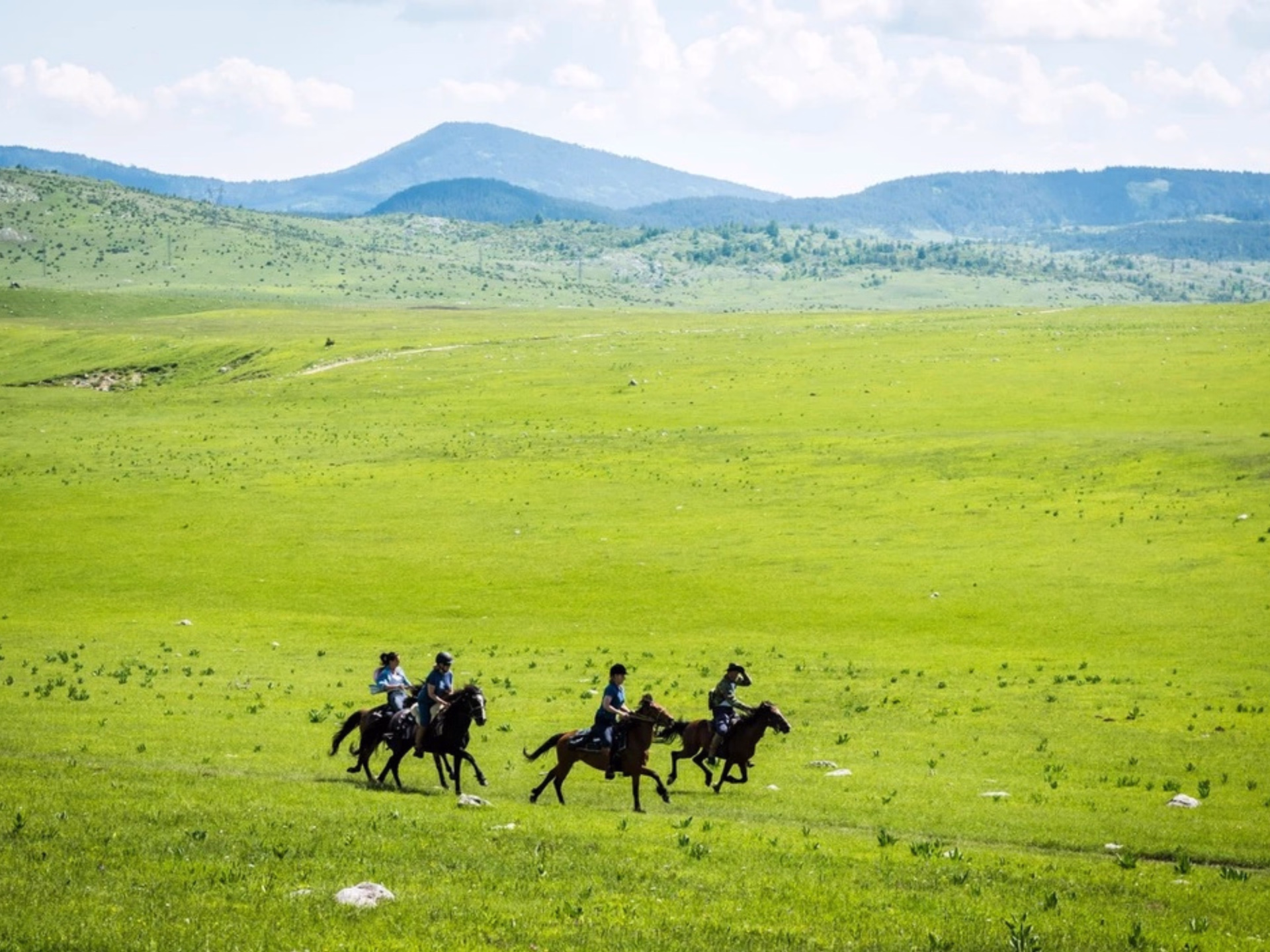 Randonnée équestre au Monténégro