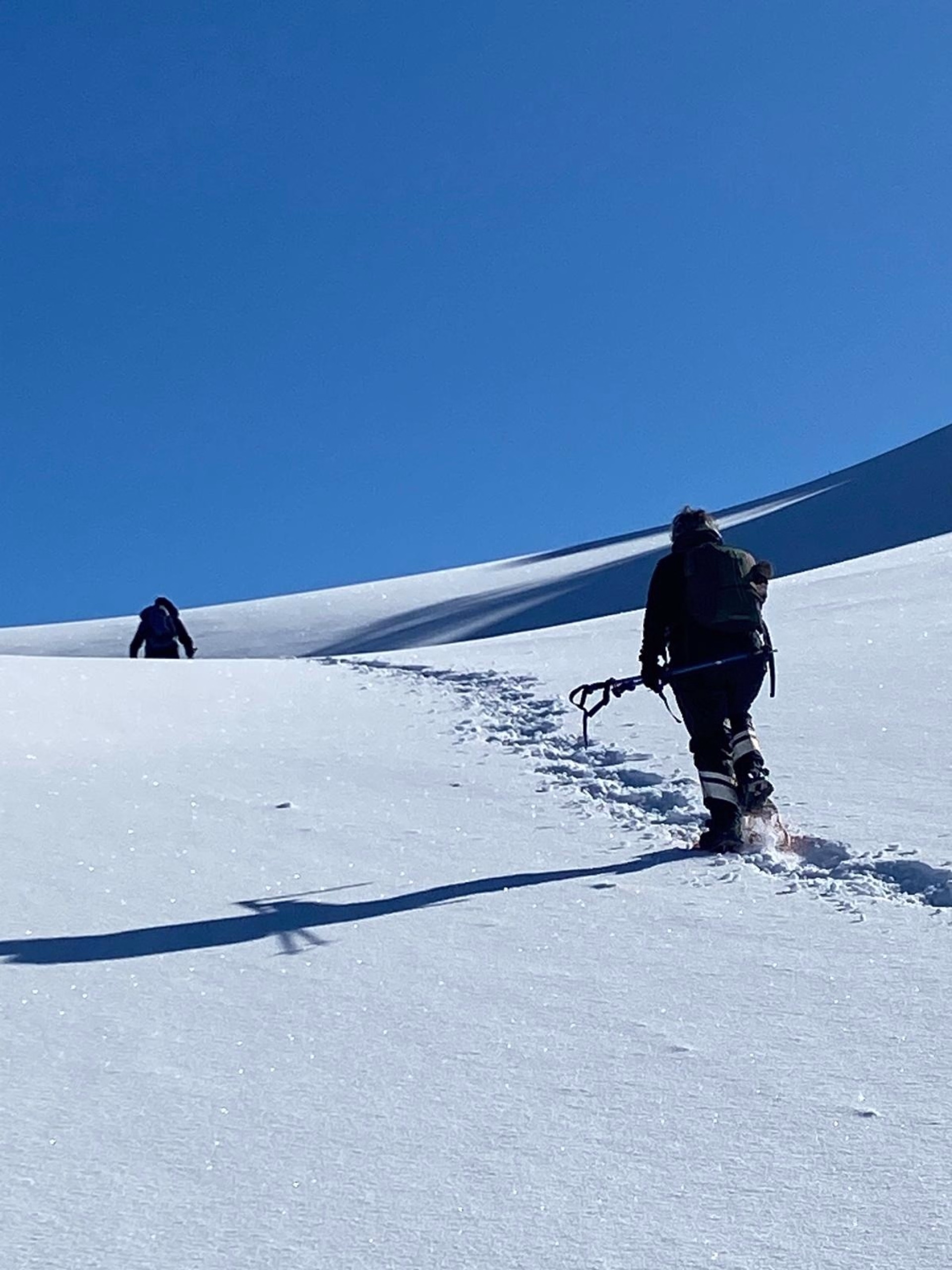 Randonnées hivernales au cœur du Cantal