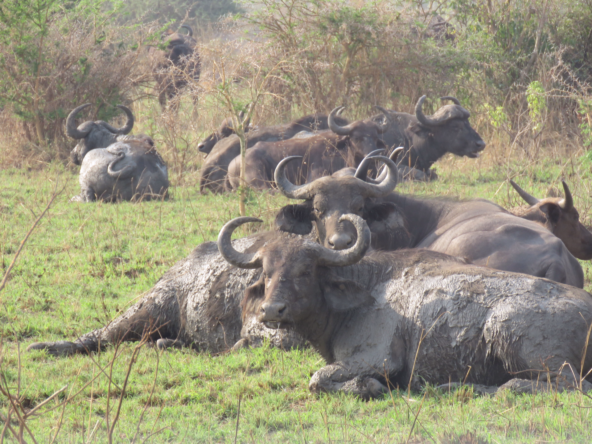 Sport, culture et safari dans l'est de l'Ouganda