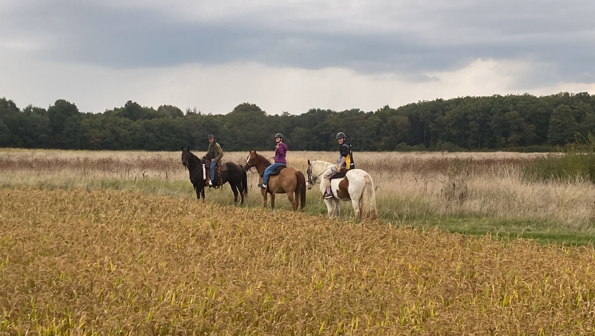 Randonnée à cheval de 2 jours avec Bivouac Royal