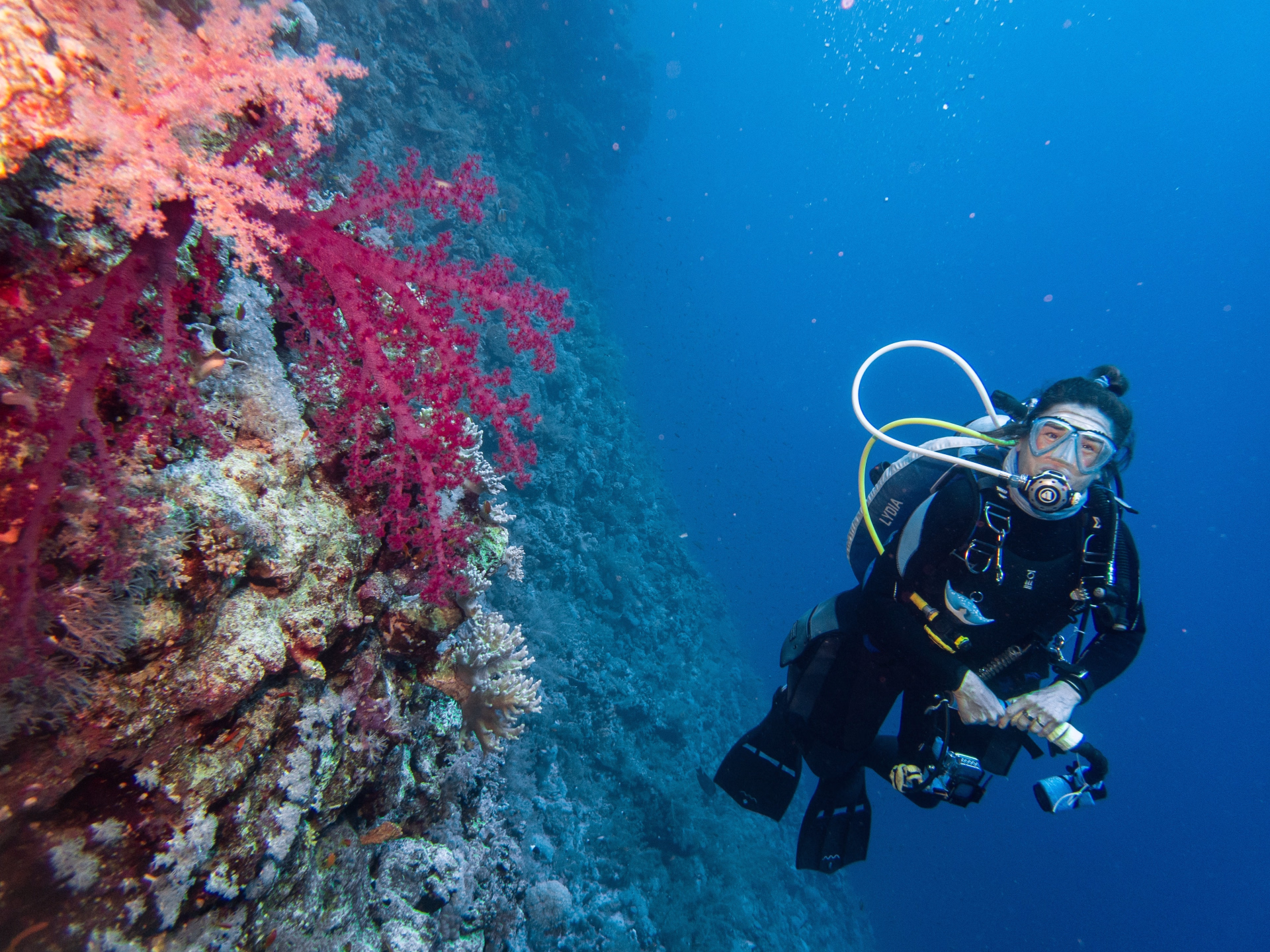 Deux semaines d'exploration de la mer Rouge