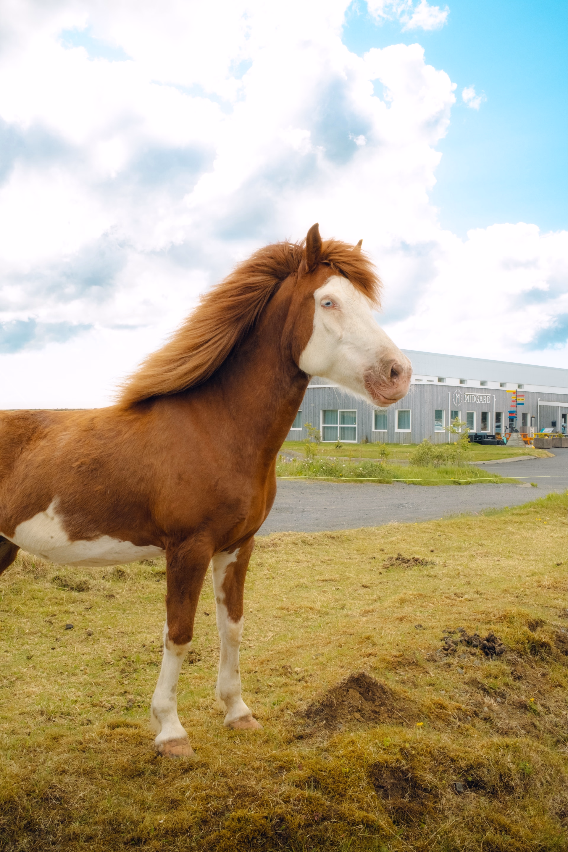 🏠 Auberge - Jours 1 à 3