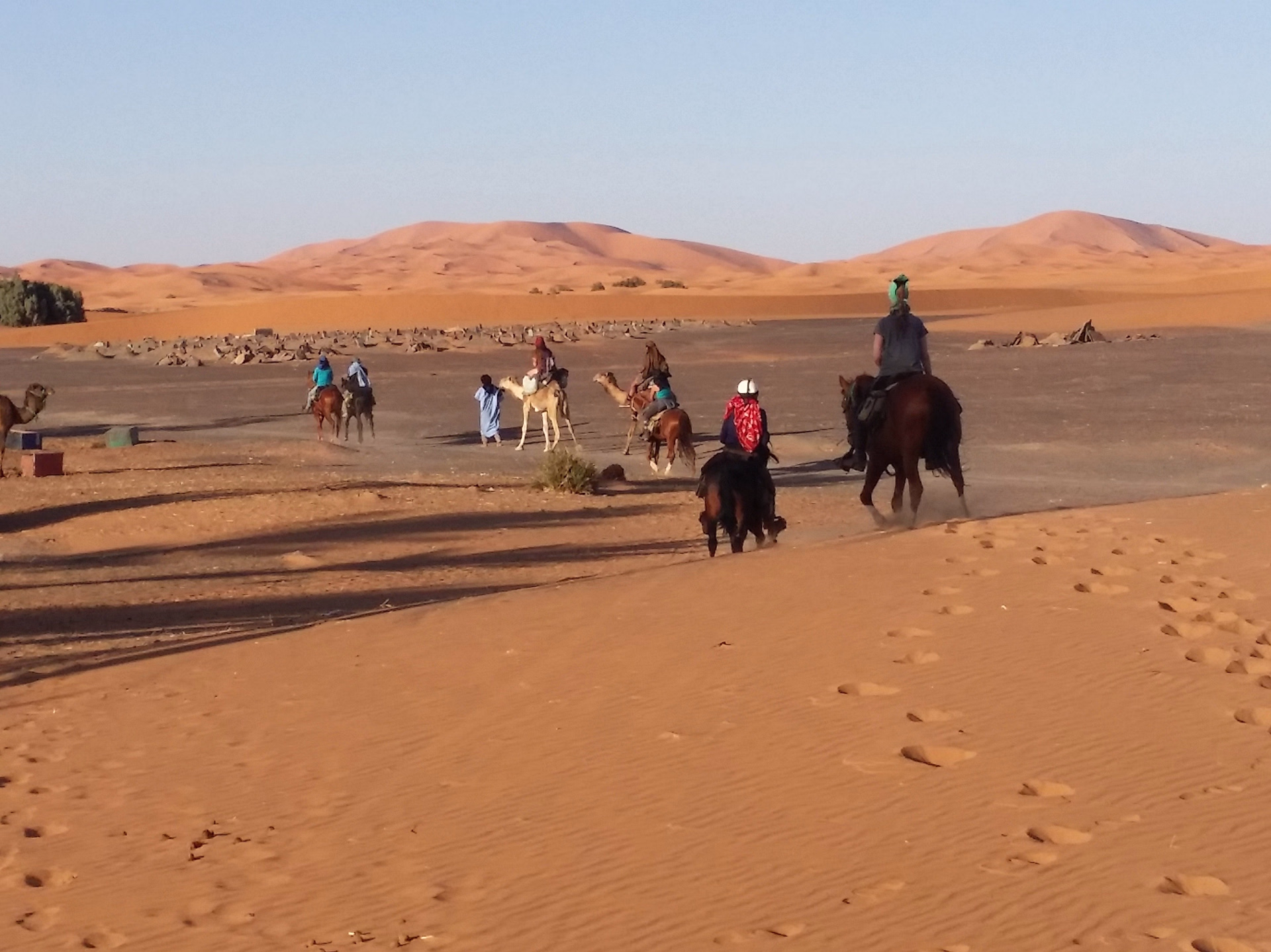 Randonnée équestre dans le désert du Sahara