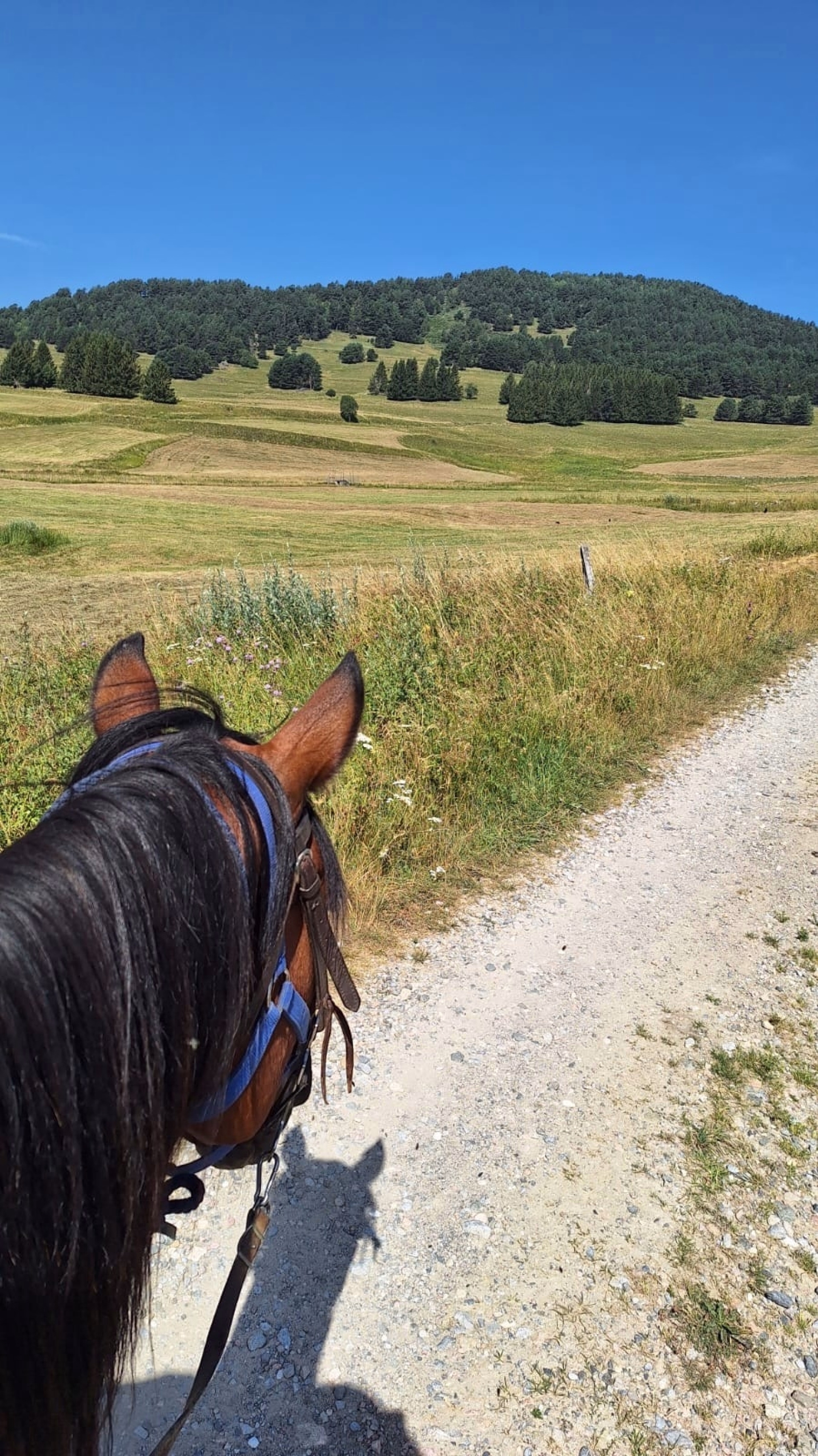 Rando équestre sur le Sentier Cathare pyrénéen