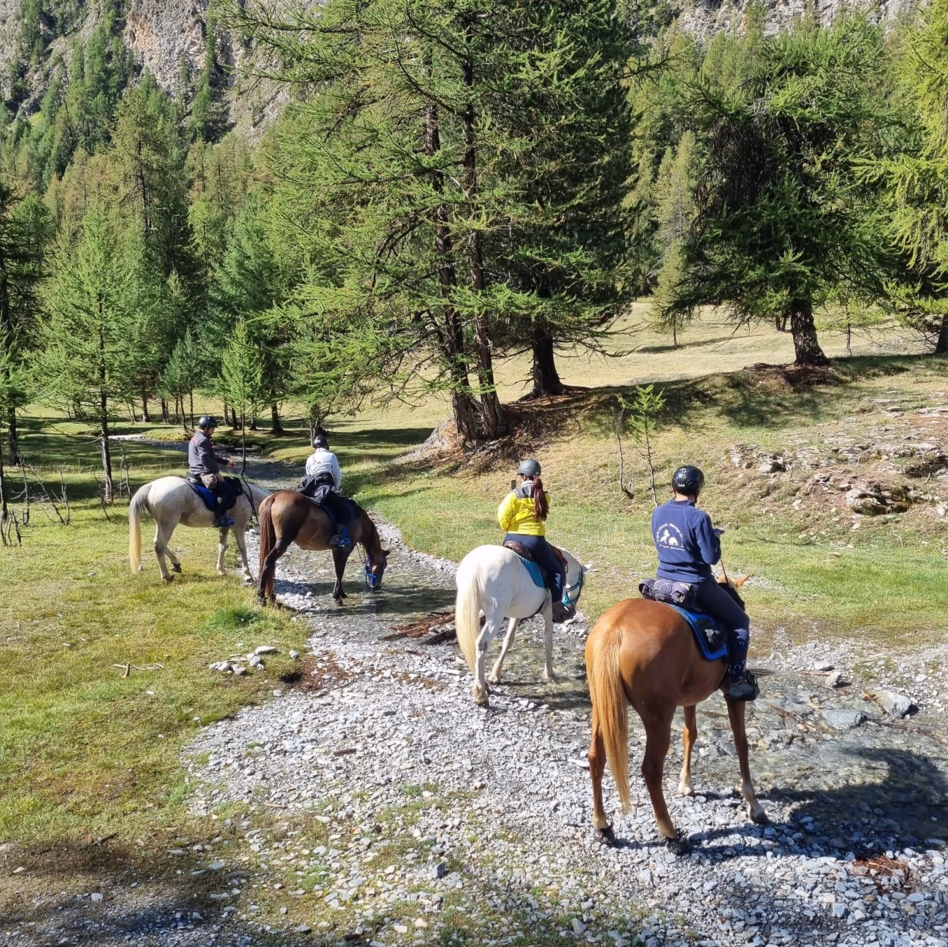 Trek des lacs et panoramas du Viso en Queyras