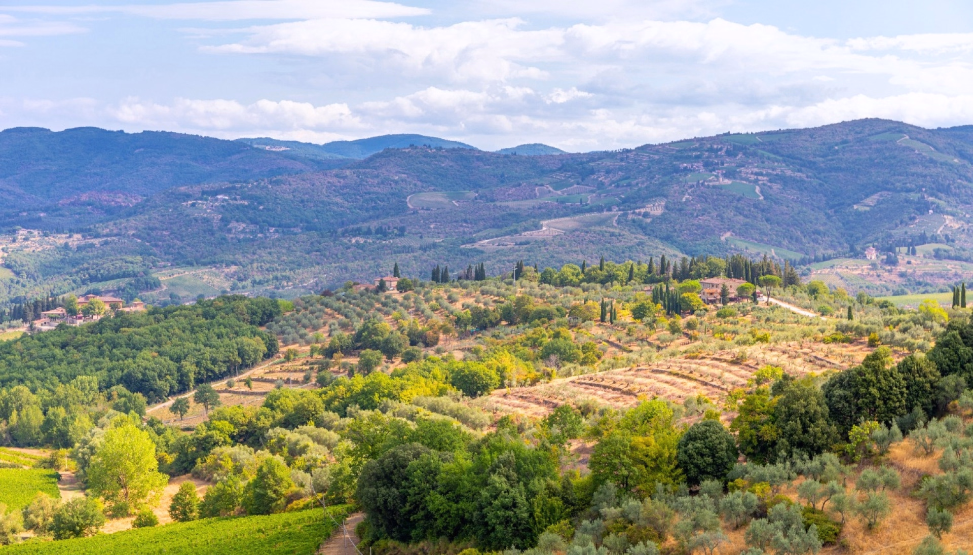 Le Chianti : la Toscane de Florence à Sienne