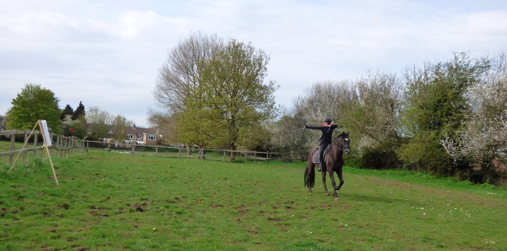 Stage équitation multi-activités au coeur des Vosges