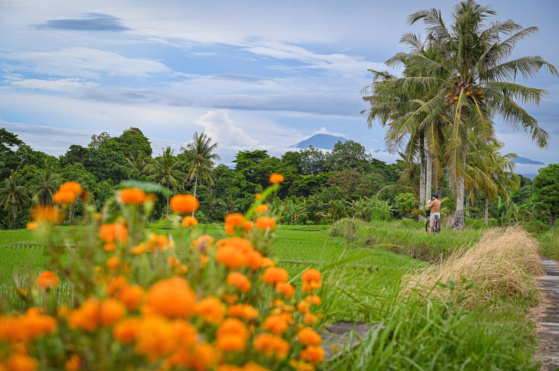 La grande traversée de Bali à VTT : volcans, rizières et plages