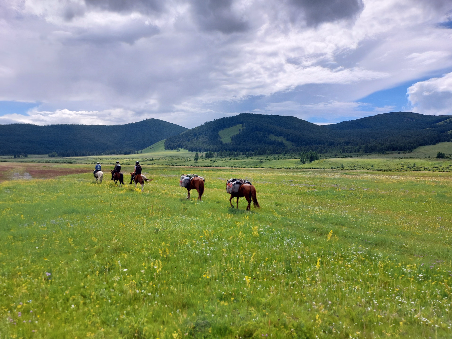 Randonnée à cheval dans le parc national de Terelj en Mongolie