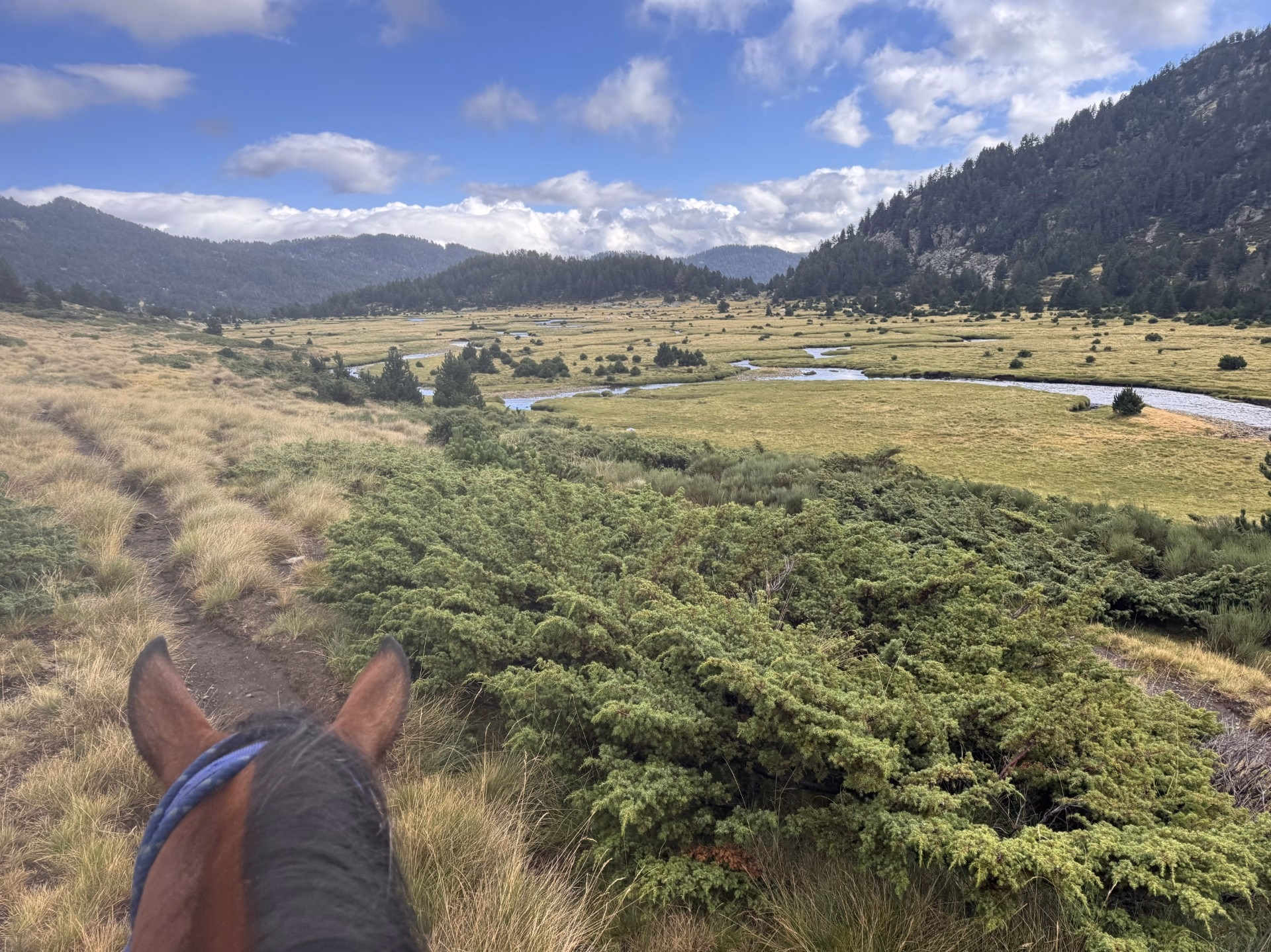 Les Pyrénées catalanes à cheval entre Cerdagne et Capcir