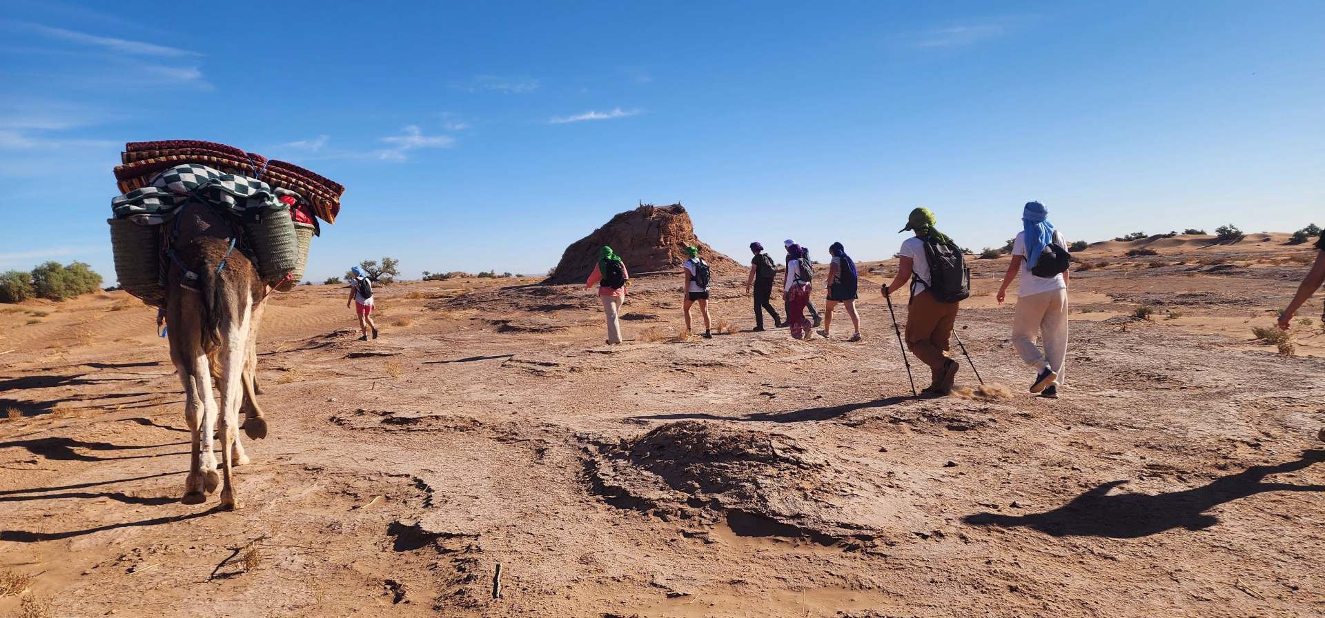 Trek de 8 jours dans le désert marocain et nuits sous les étoiles