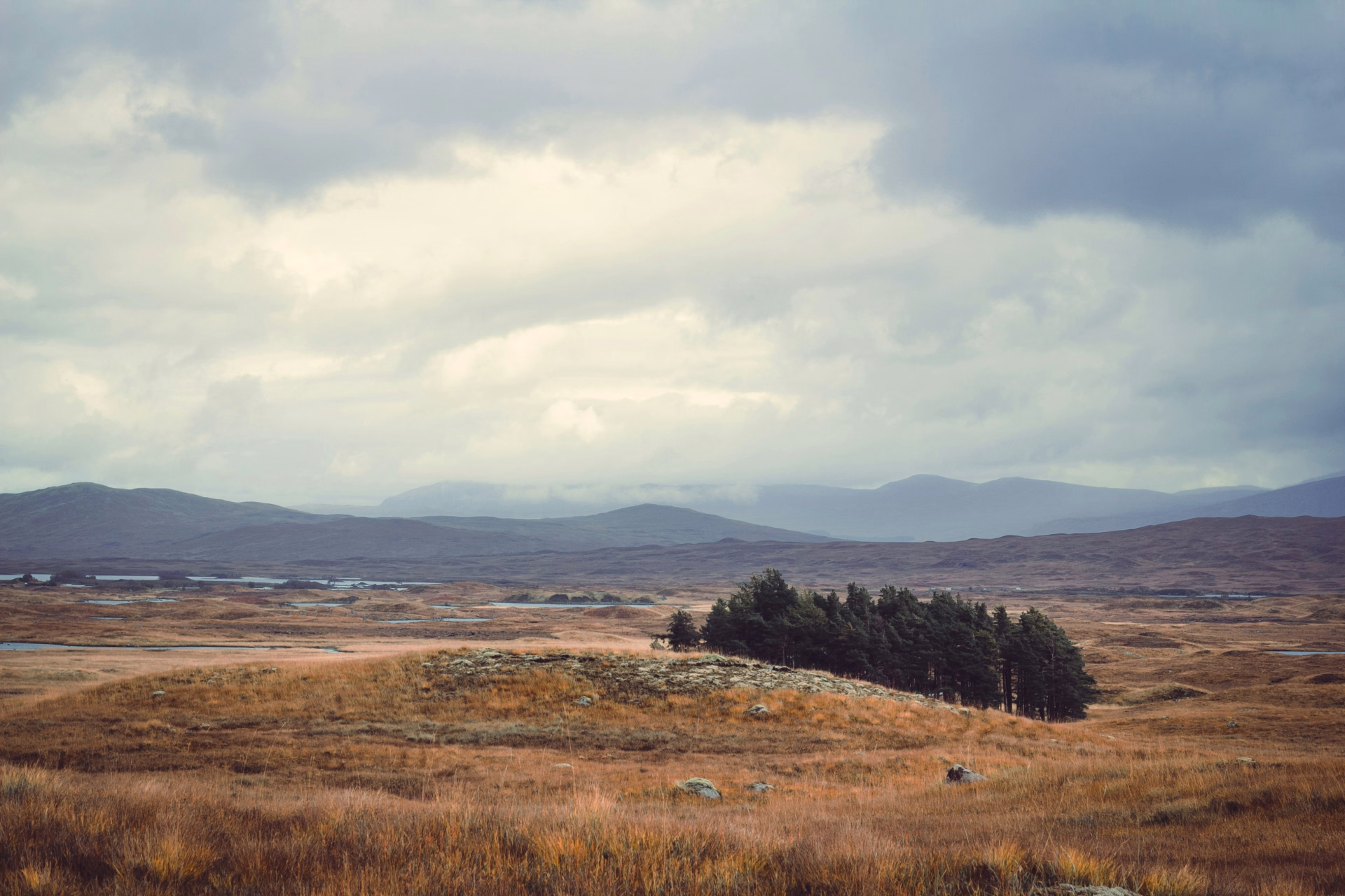 Du Loch Lomond aux montagnes de Glencoe par la West Highland Way