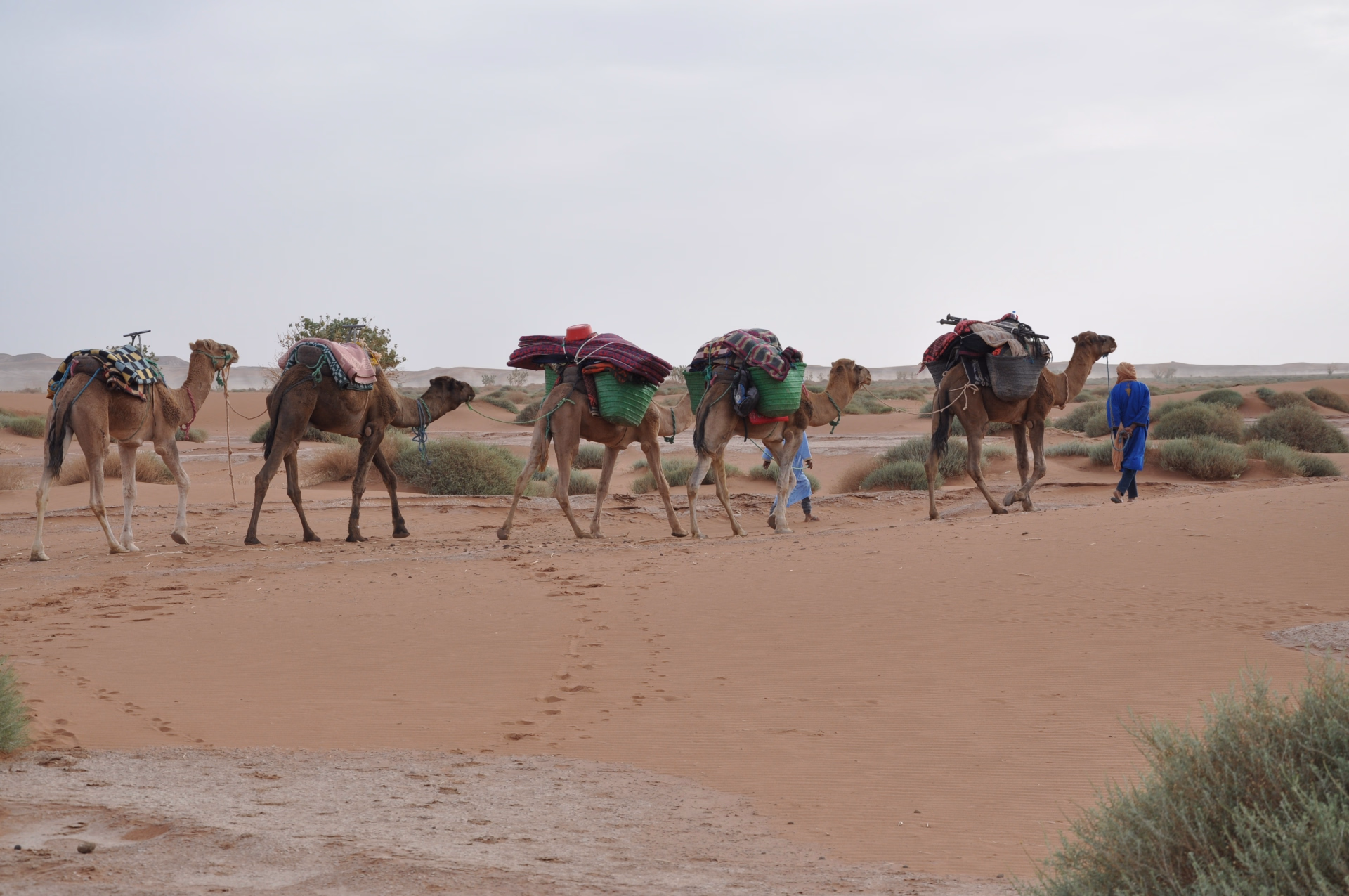 Séjour de 7 jours au départ de Marrakech : désert du Maroc et vallée