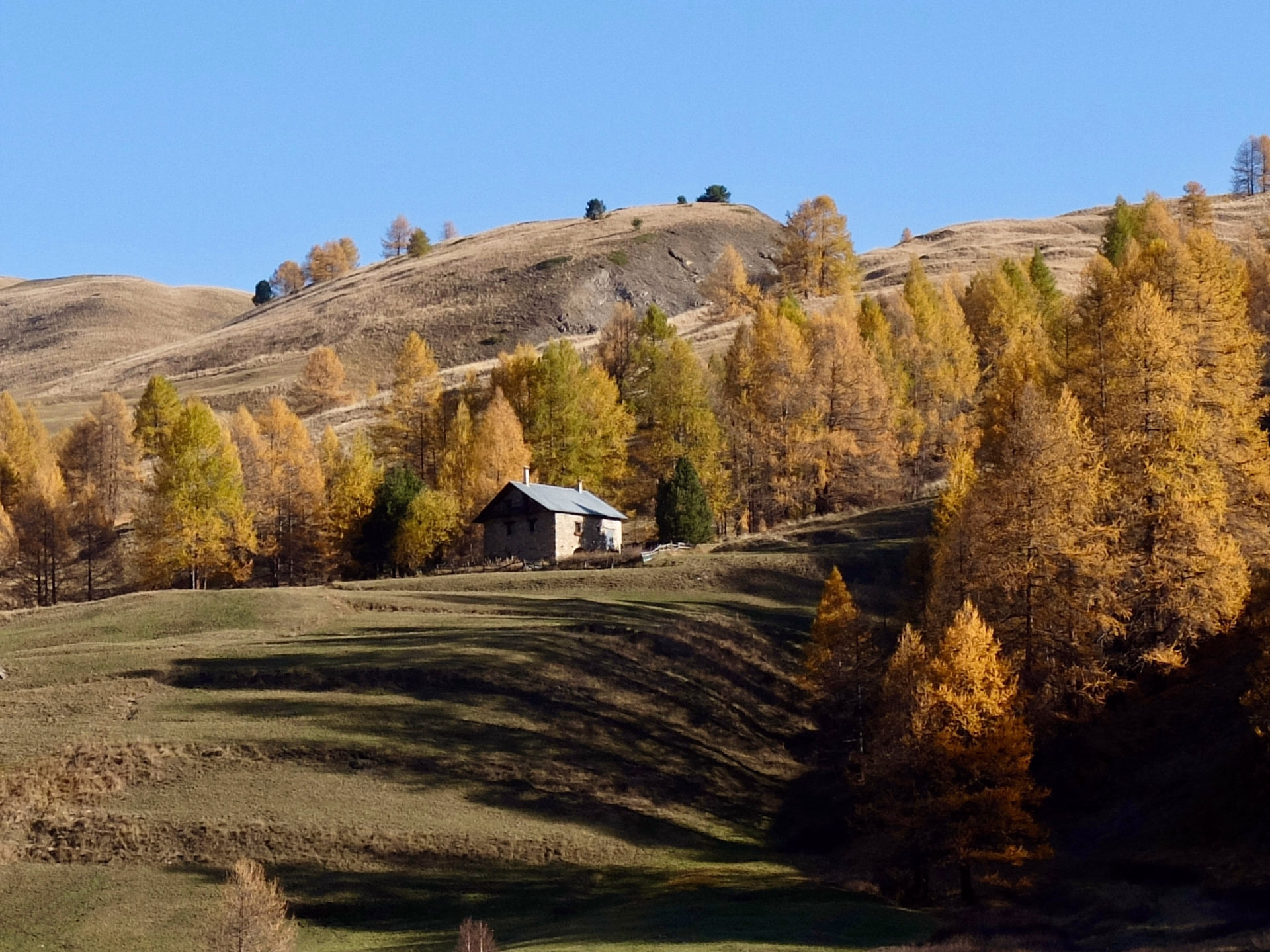 Randonnée au cœur de la vallée de Cervières aux couleurs d'automne