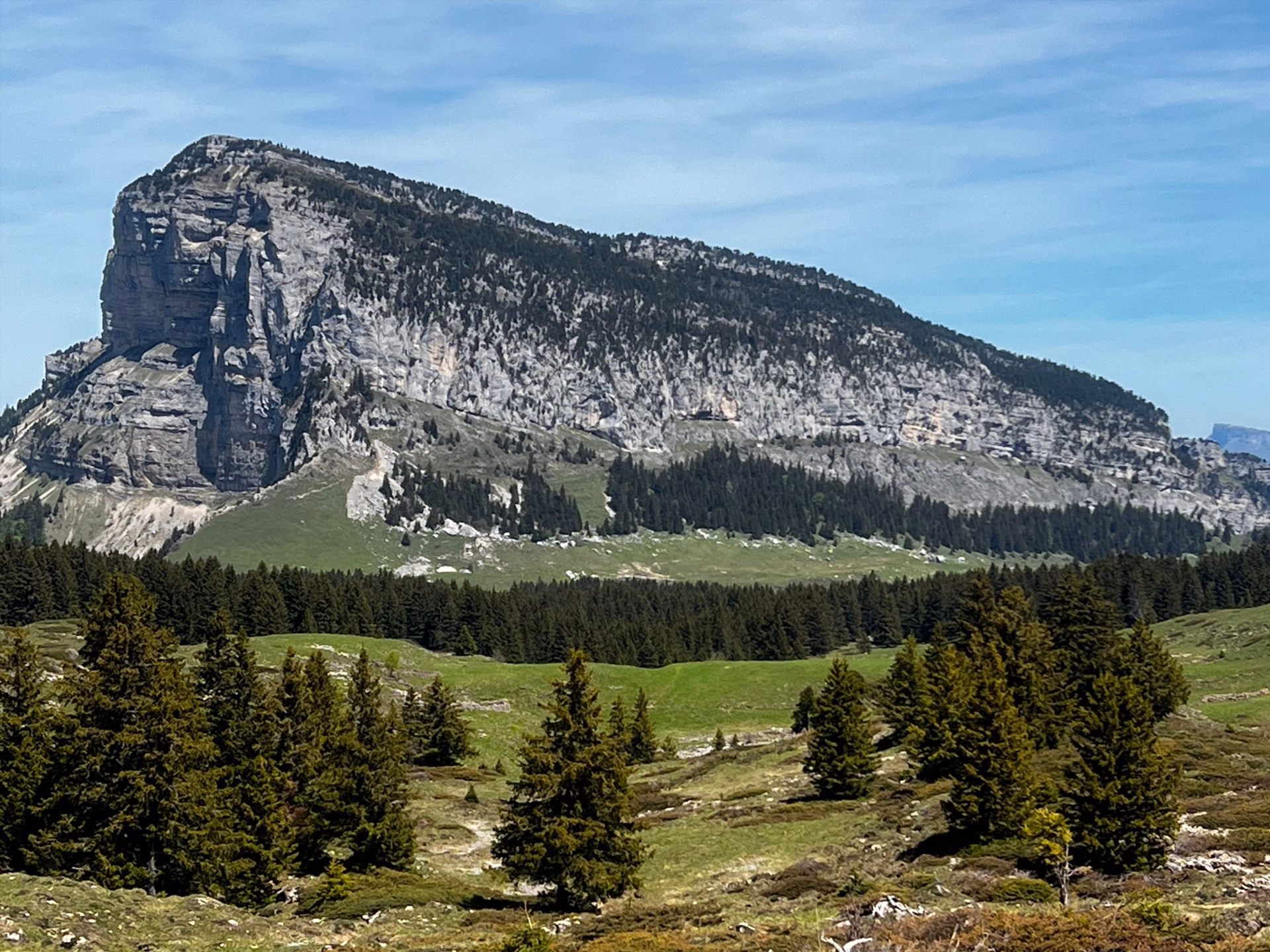 Randonnée et flore alpine en Chartreuse