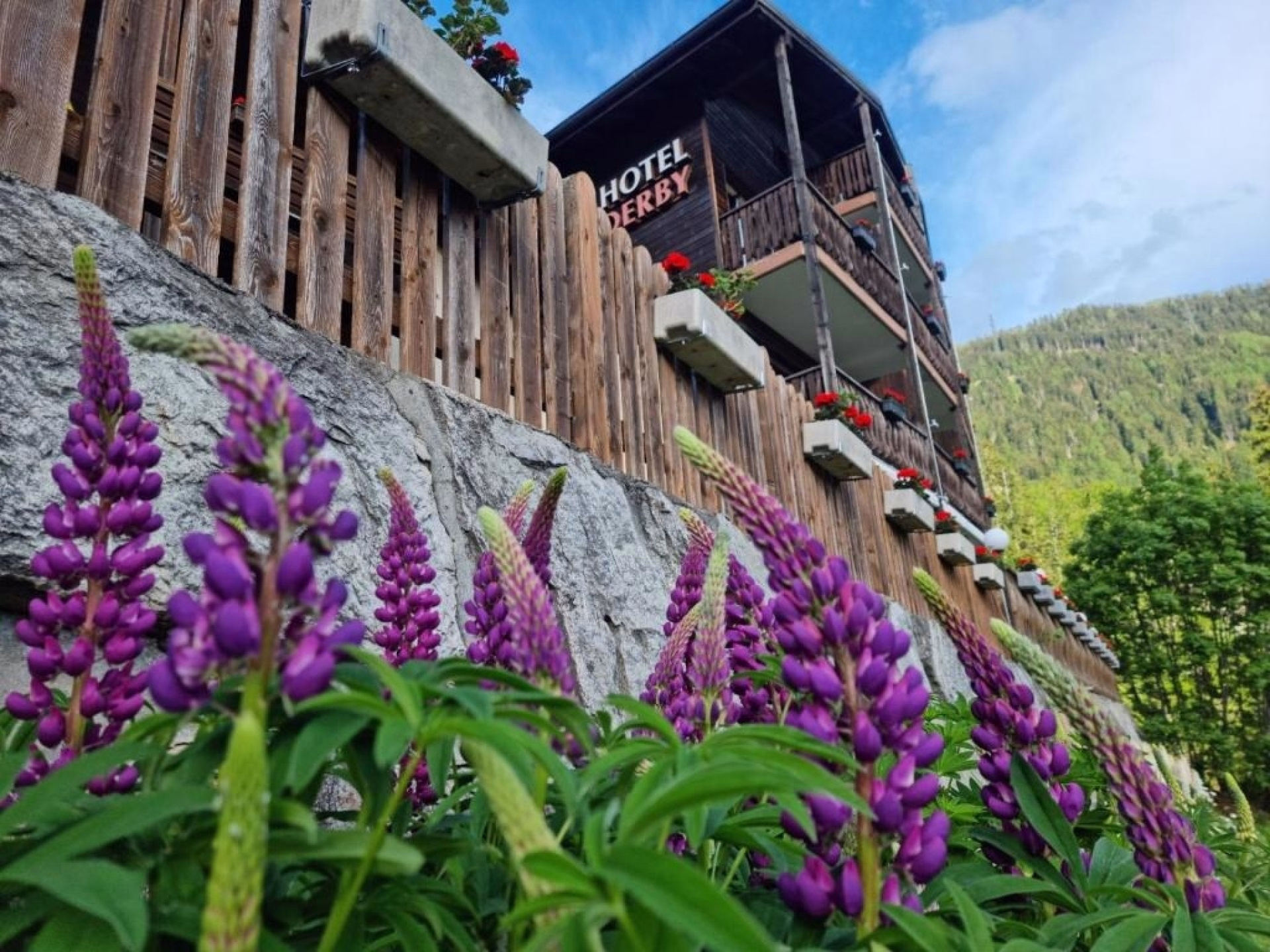 🏨 Hôtel 3* - Jour 5